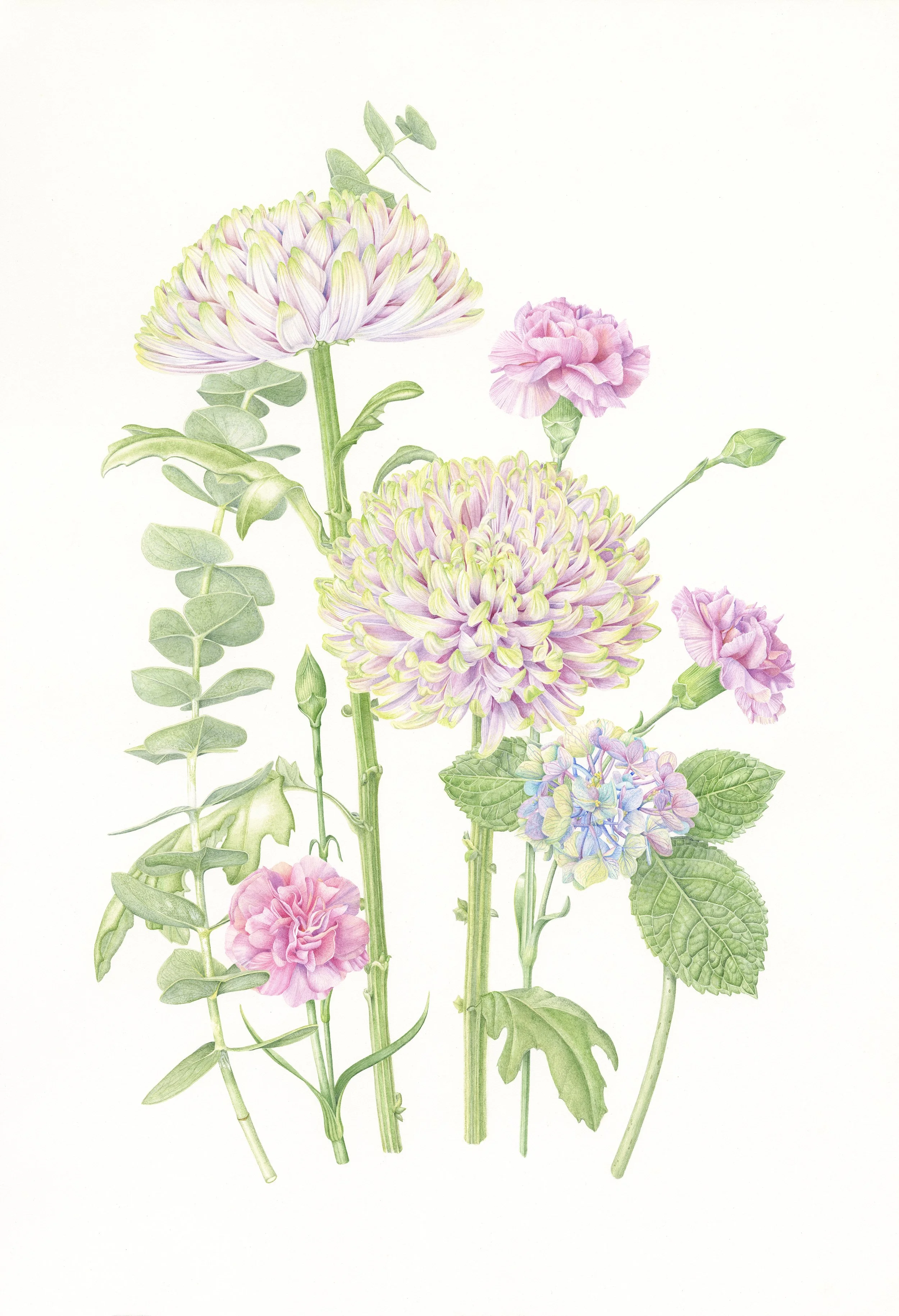 Watercolor_app741712_Davies_Rebecca_usr128454-img2858722.jpg