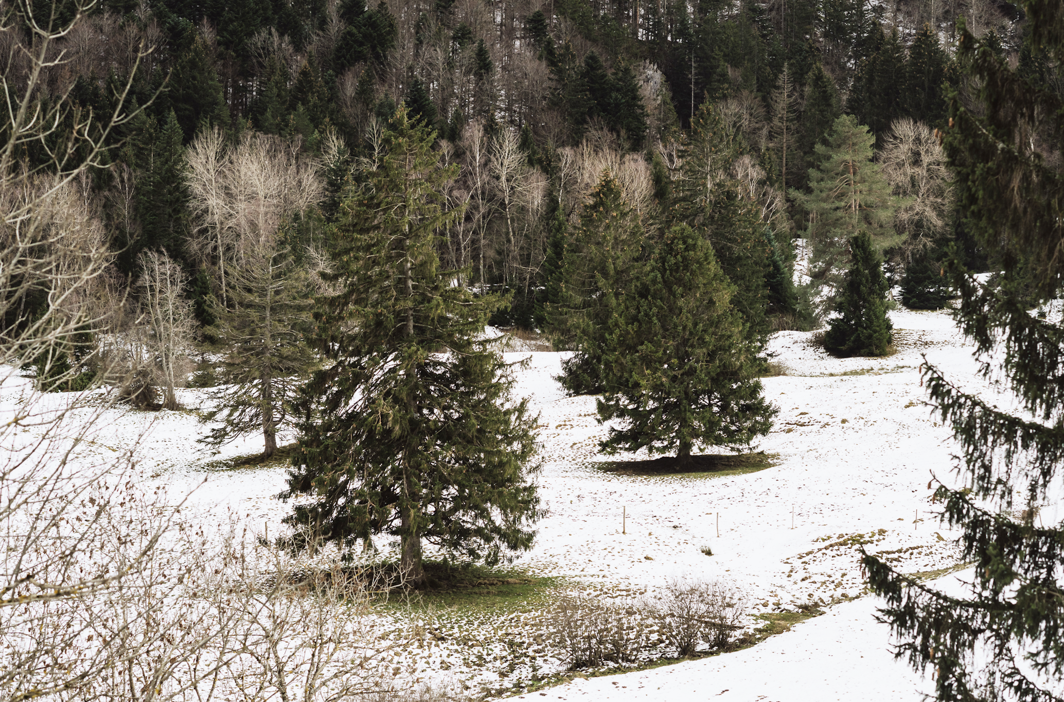 Bildschirmfoto 2025-12-15 um 12.25.45.png