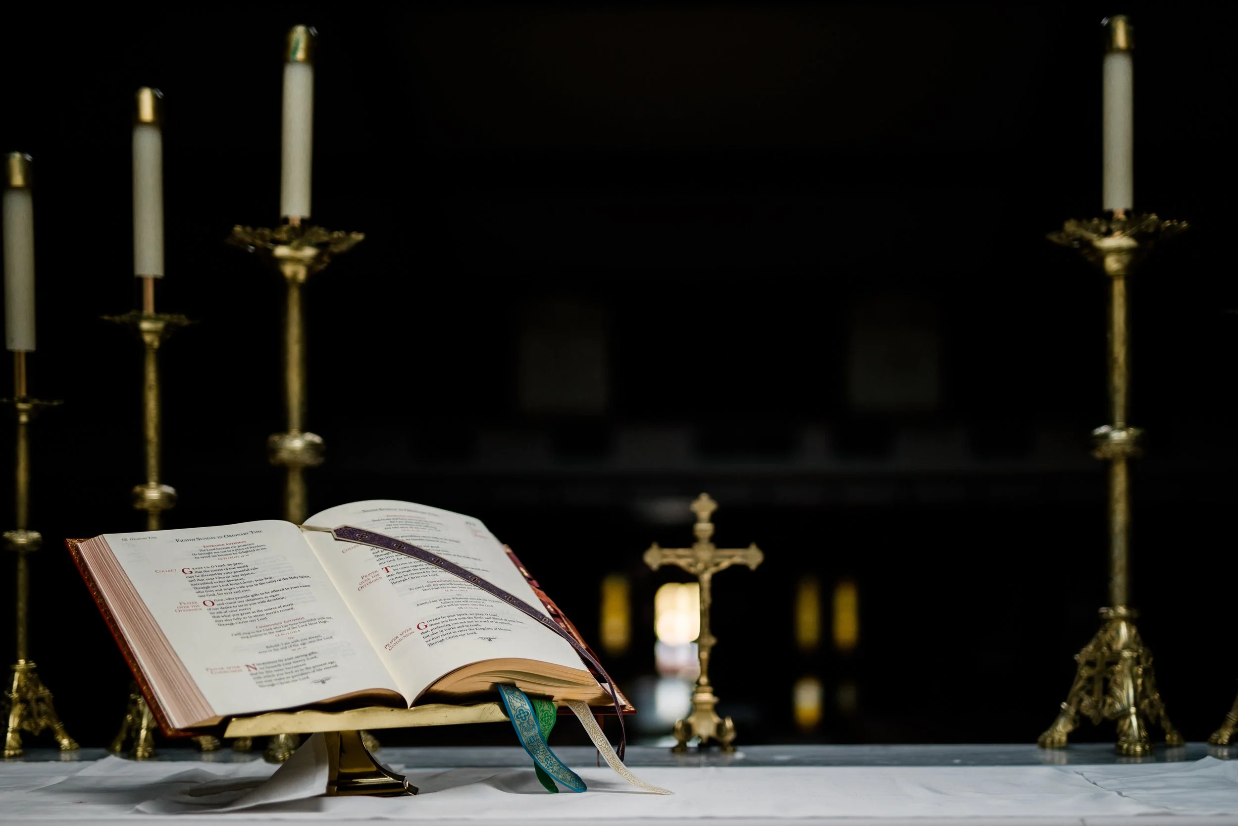 Masses at St. RIta are Monday-Saturday at 8:15am, Saturday at 4:30pm and Sundays at 8:30am, 10am, and 11:30am.
