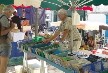Mosselen-en-oesters-370x250.jpg