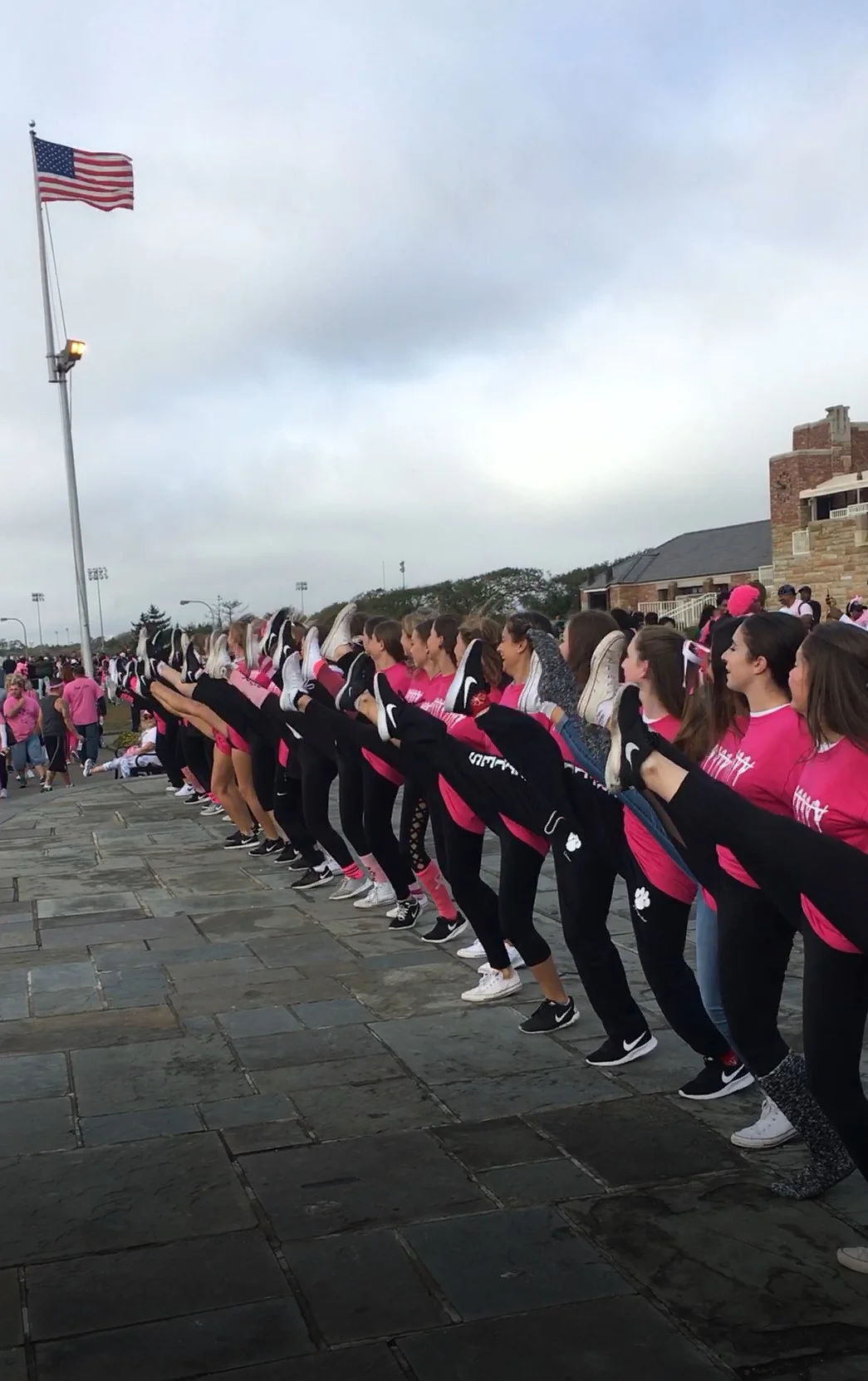 breastcancerwalk.jpg