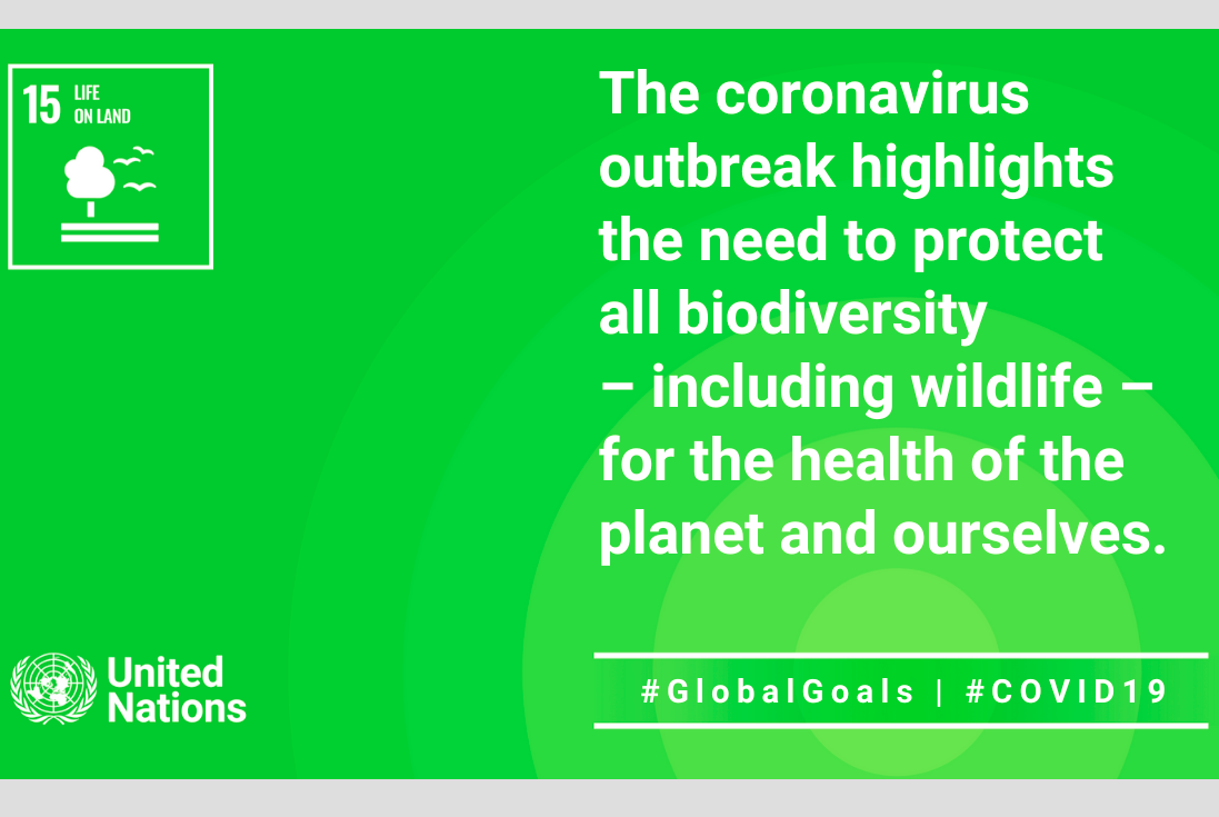 On Mother Earth Day, let’s start reconnecting to ourselves, others, and the planet