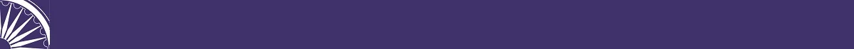 Blue ISS Band.jpg