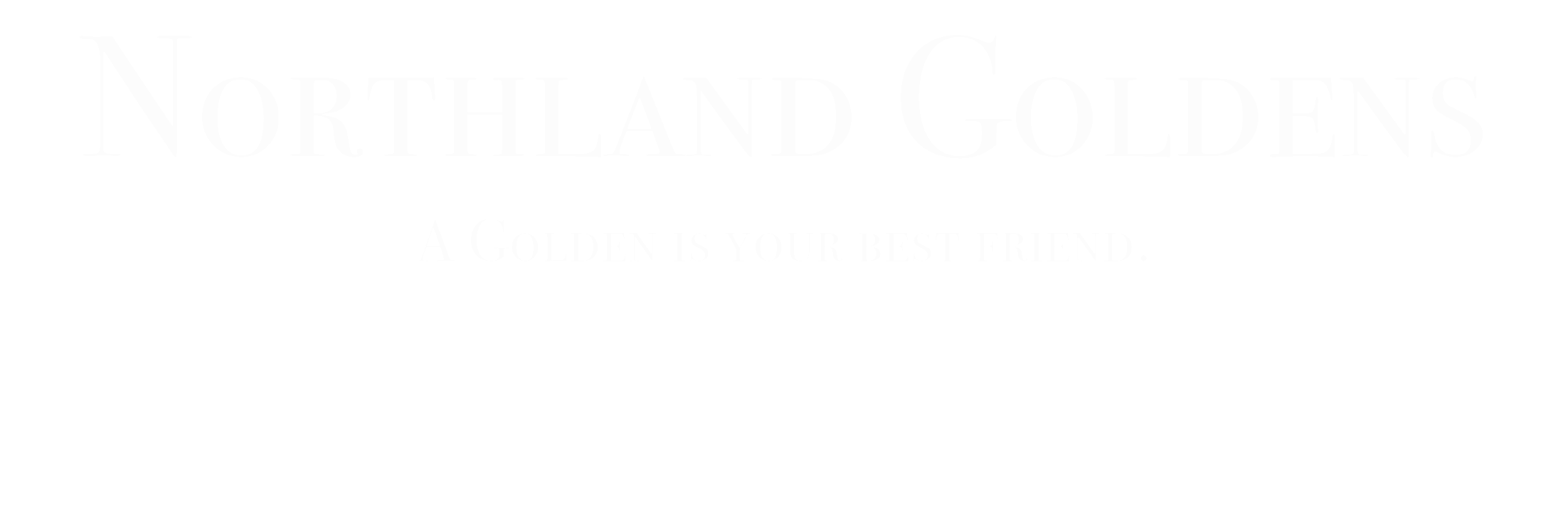 NGlogoup.png