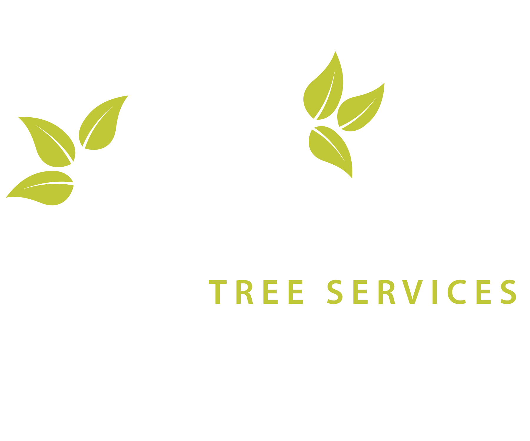 Climb Tree Services