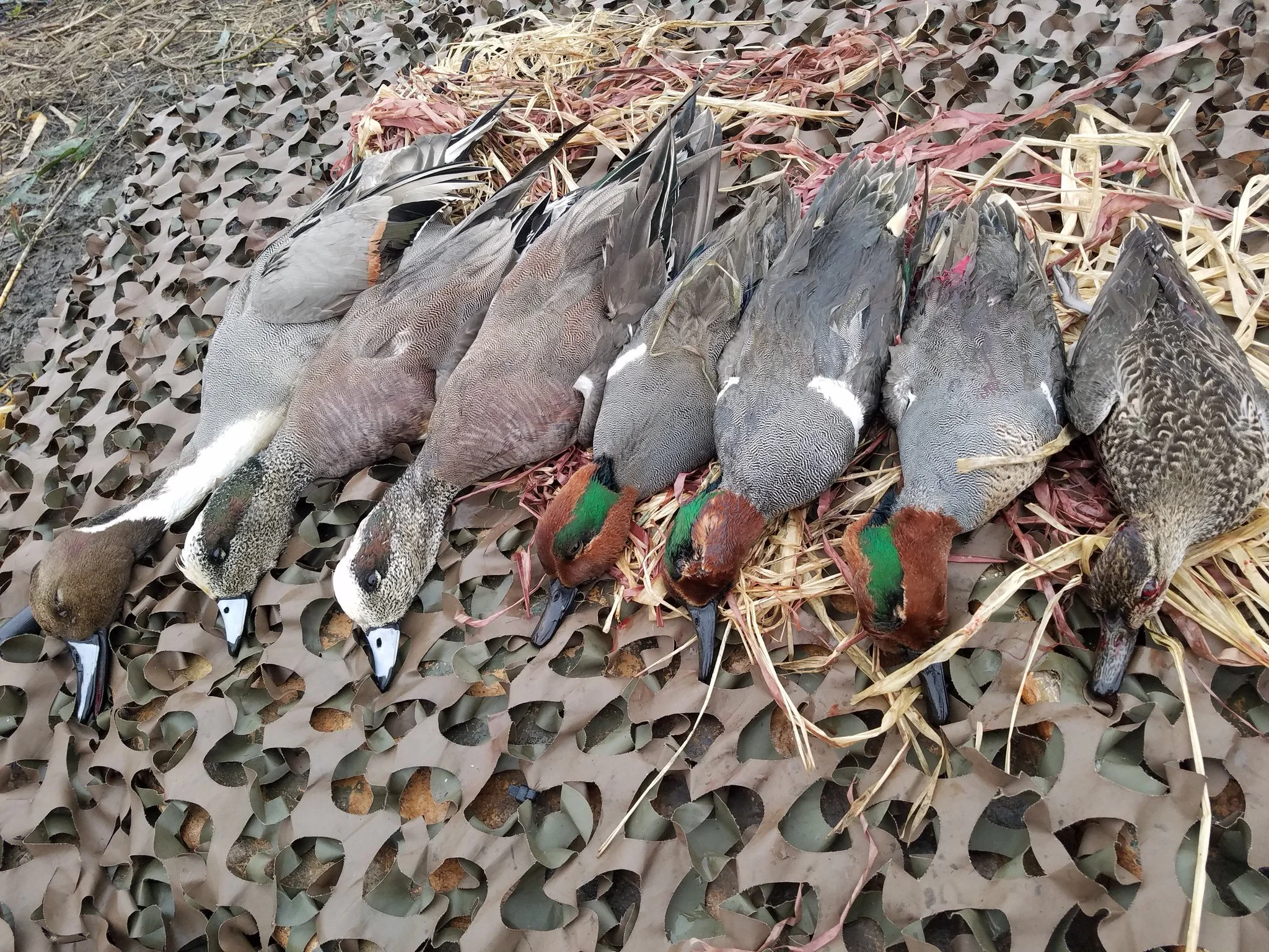 Duck Decoy Parts and Accessories — The Worlds Best Motion Decoys