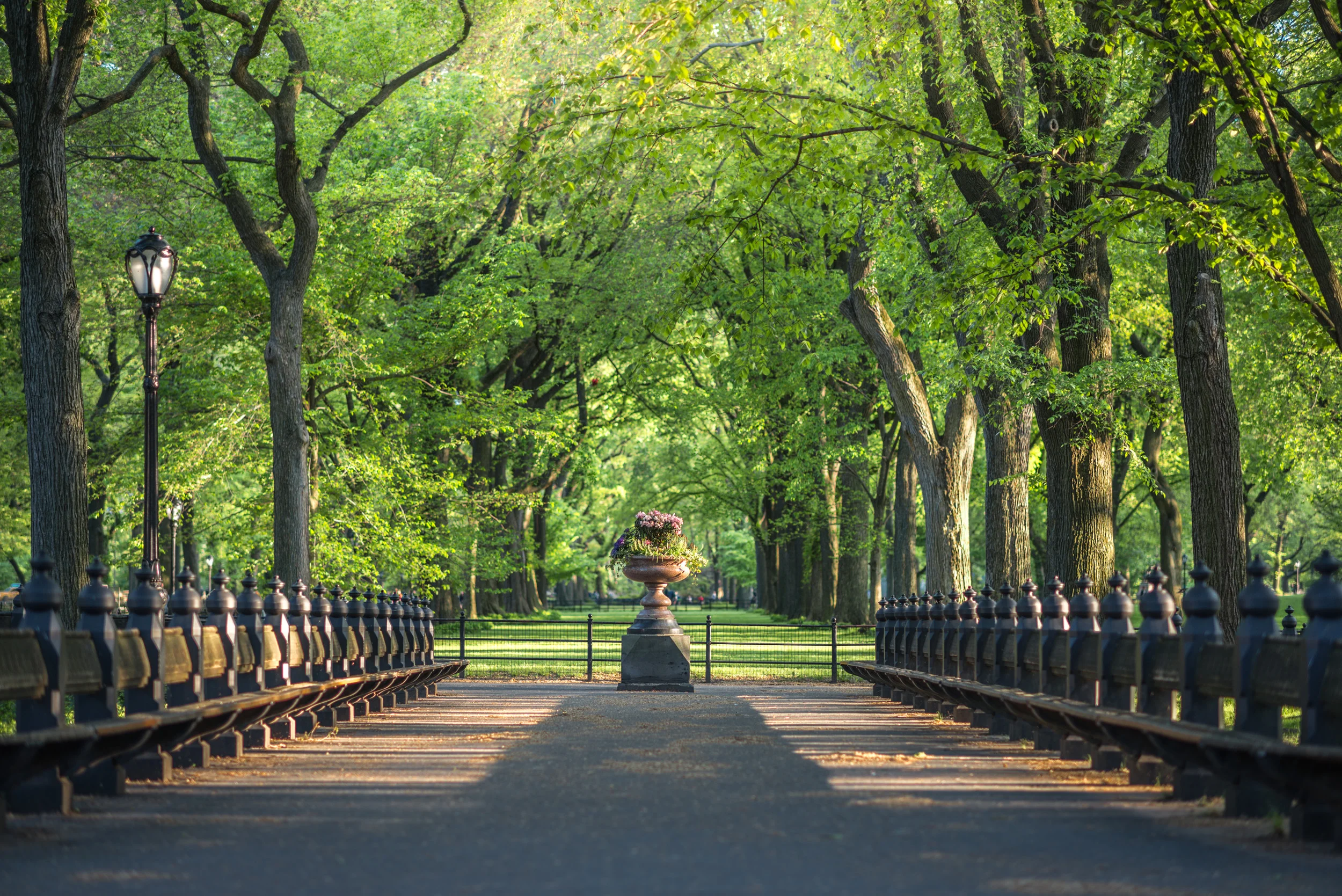 iStock-513732462.jpg