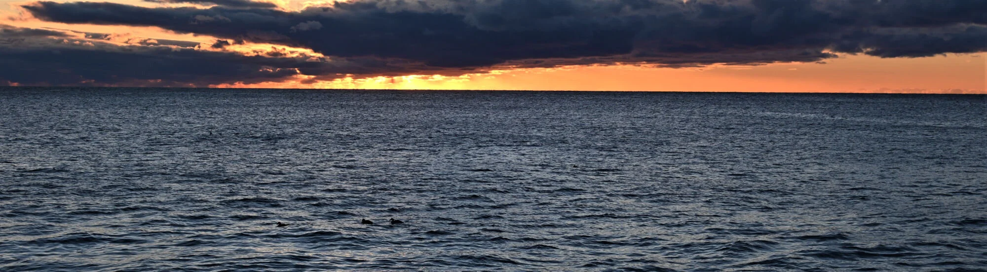 Harpswell Leadership — Harpswell Advisors