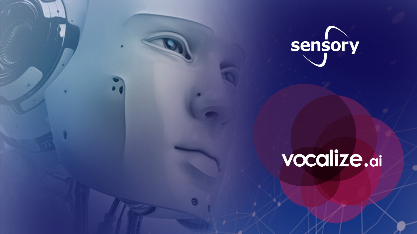 Sensory-Acquires-Vocalize.ai-for-Speech-Technology-Testing-Capabilities-1_low.jpg