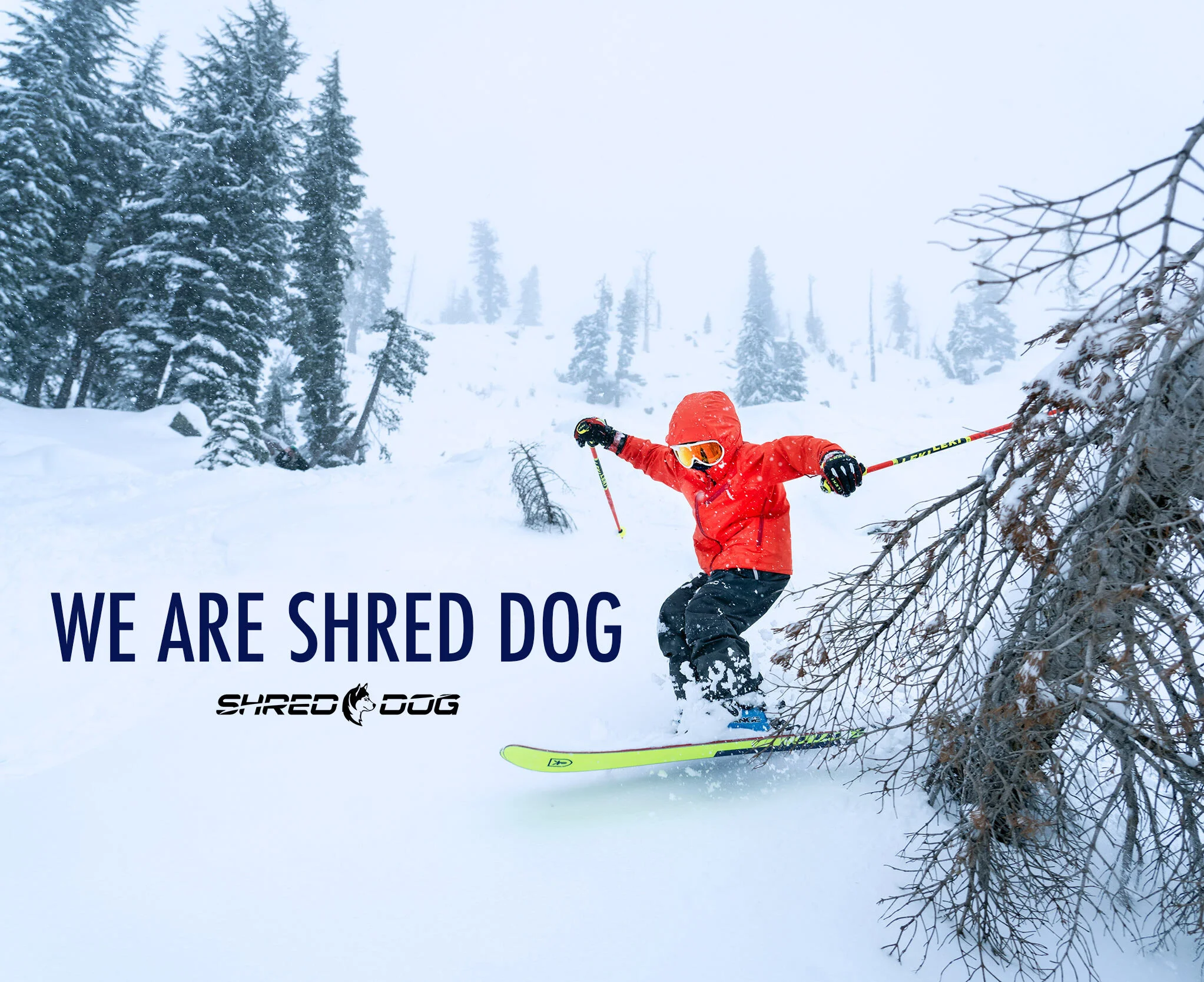 SHREDDOG   |   KIDS OUTDOOR WEAR