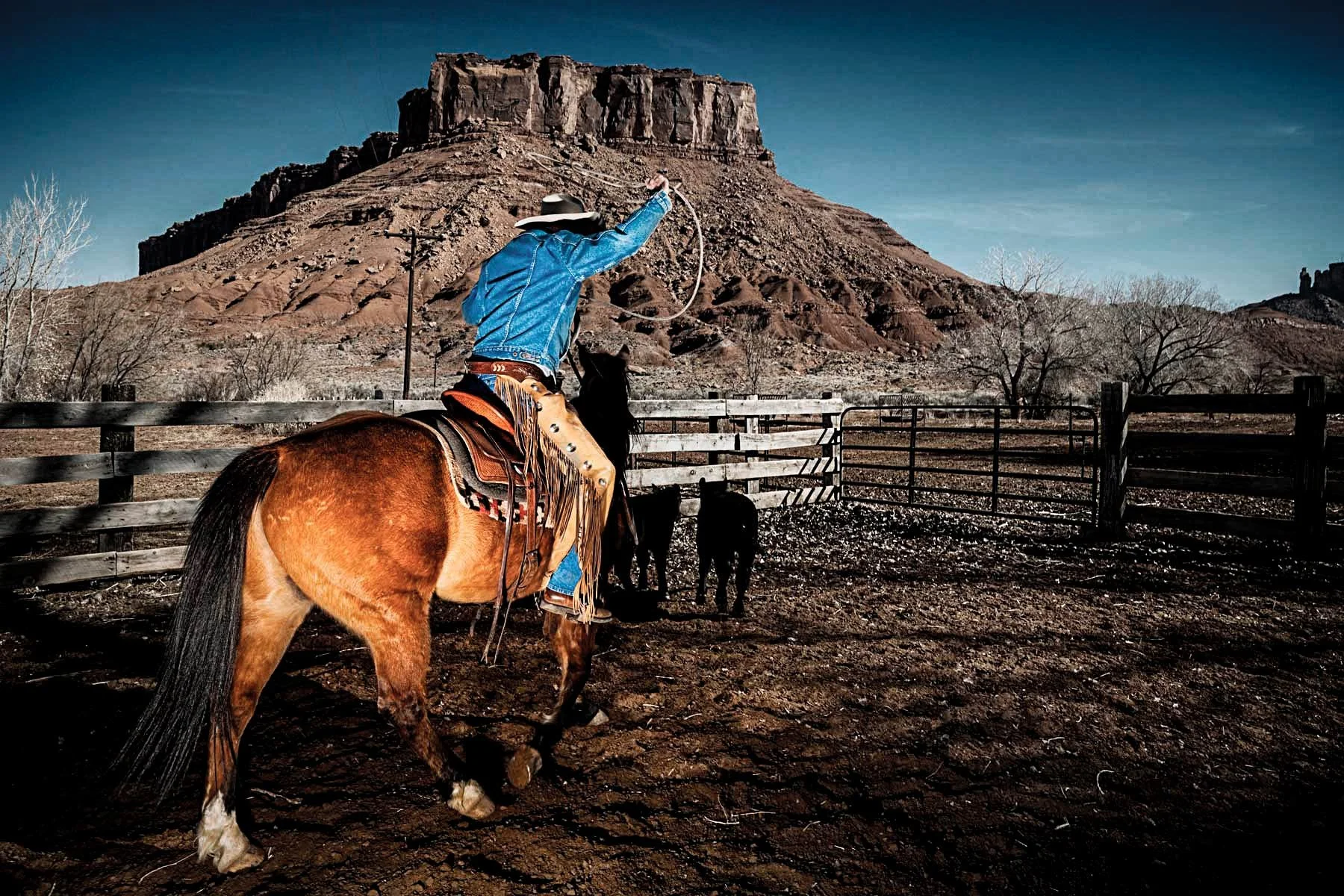 cowboy_24502_V2webscaleXX.jpg