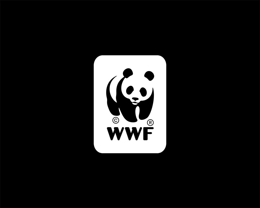 WWF title card.jpg