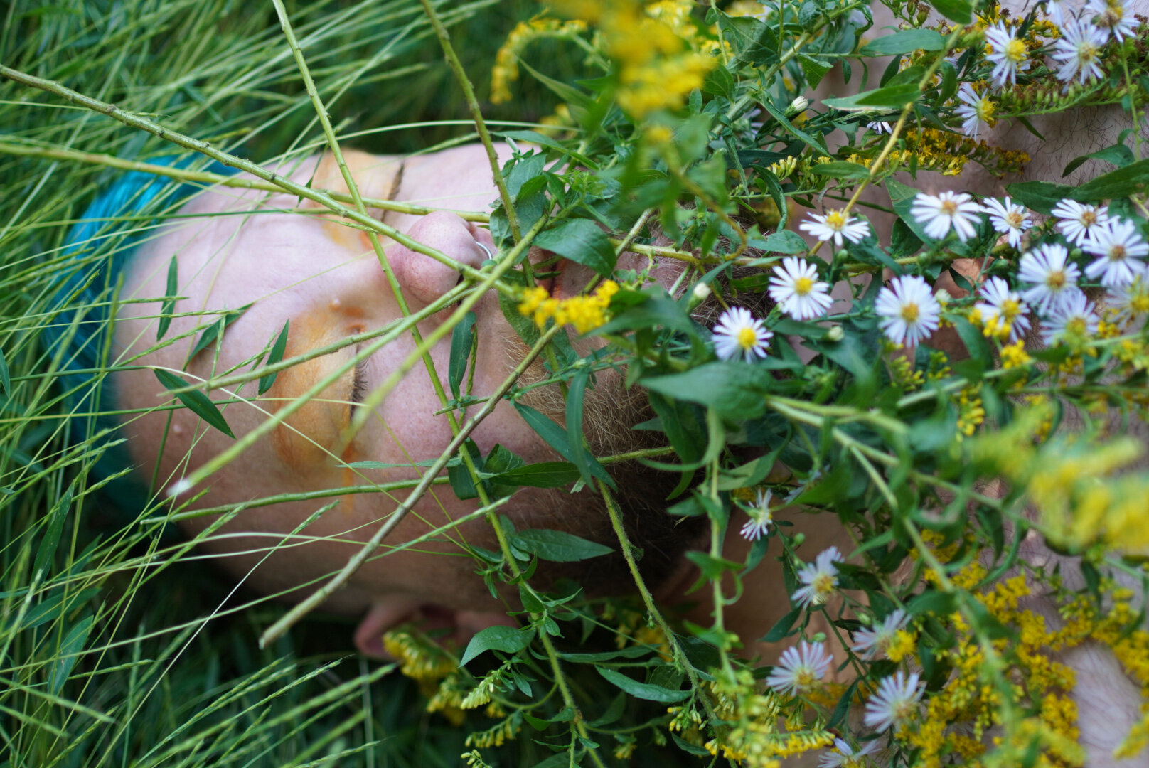 September Goldenrod