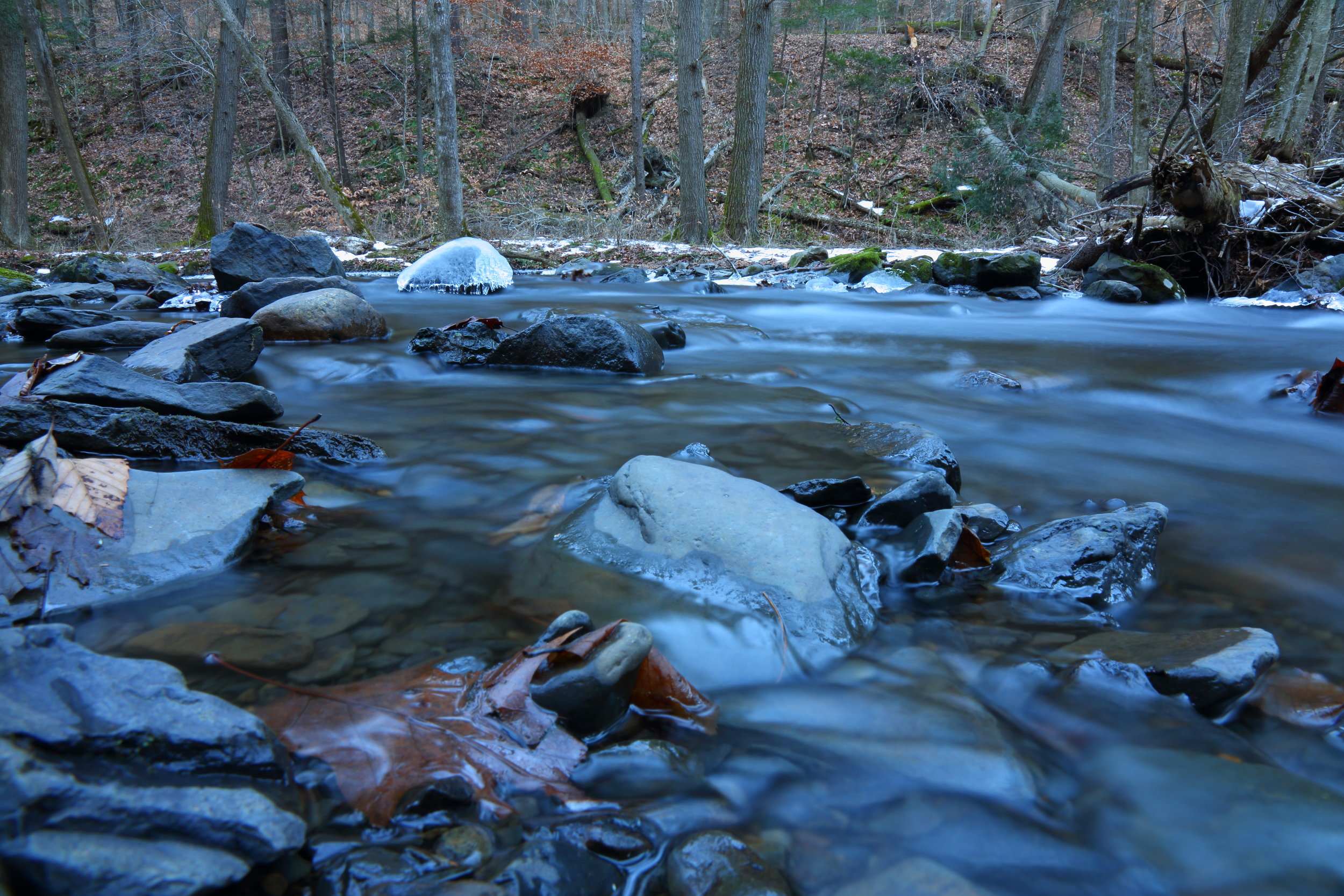 hiking-30.JPG