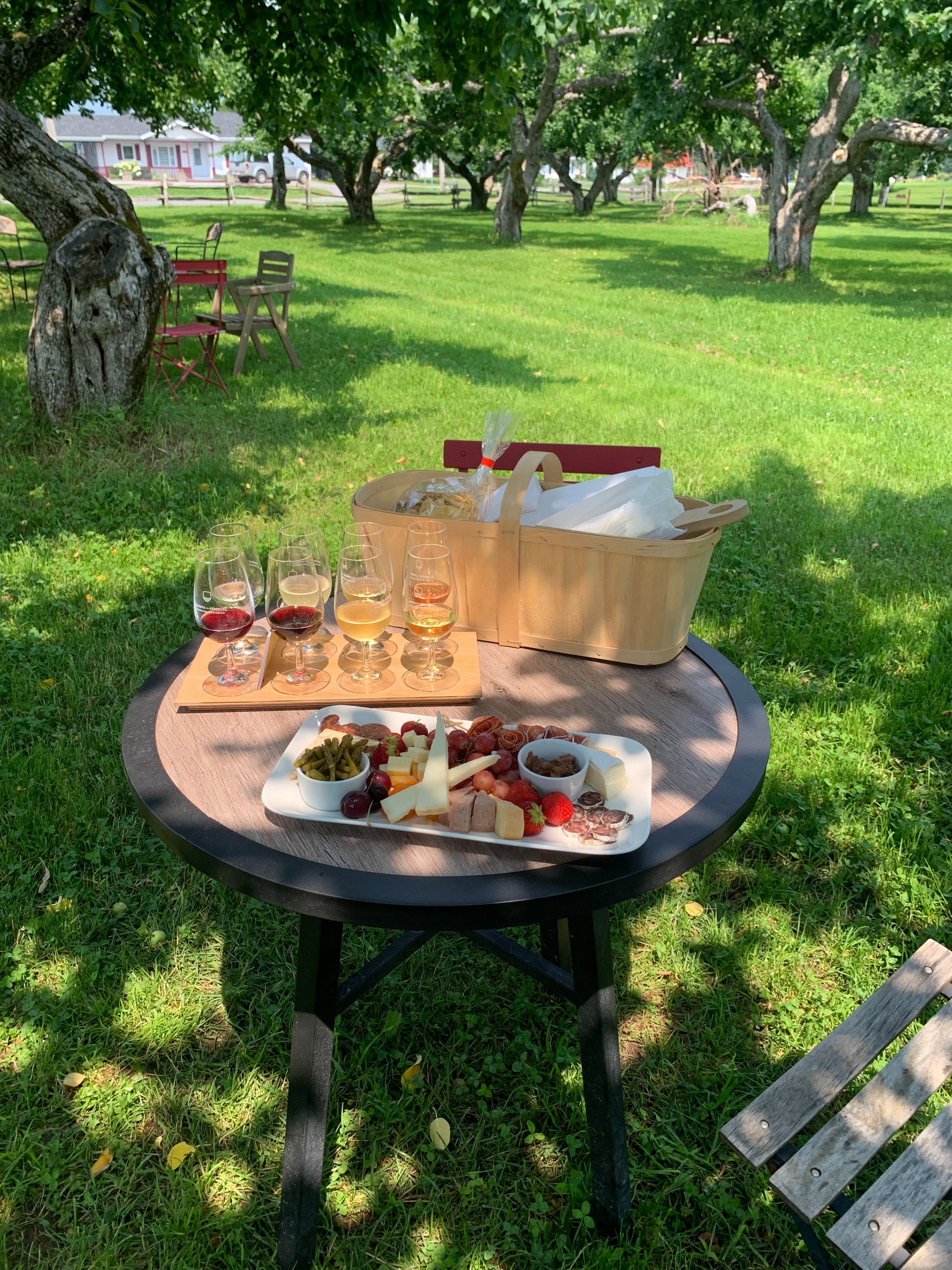 25th Anniversary Trip