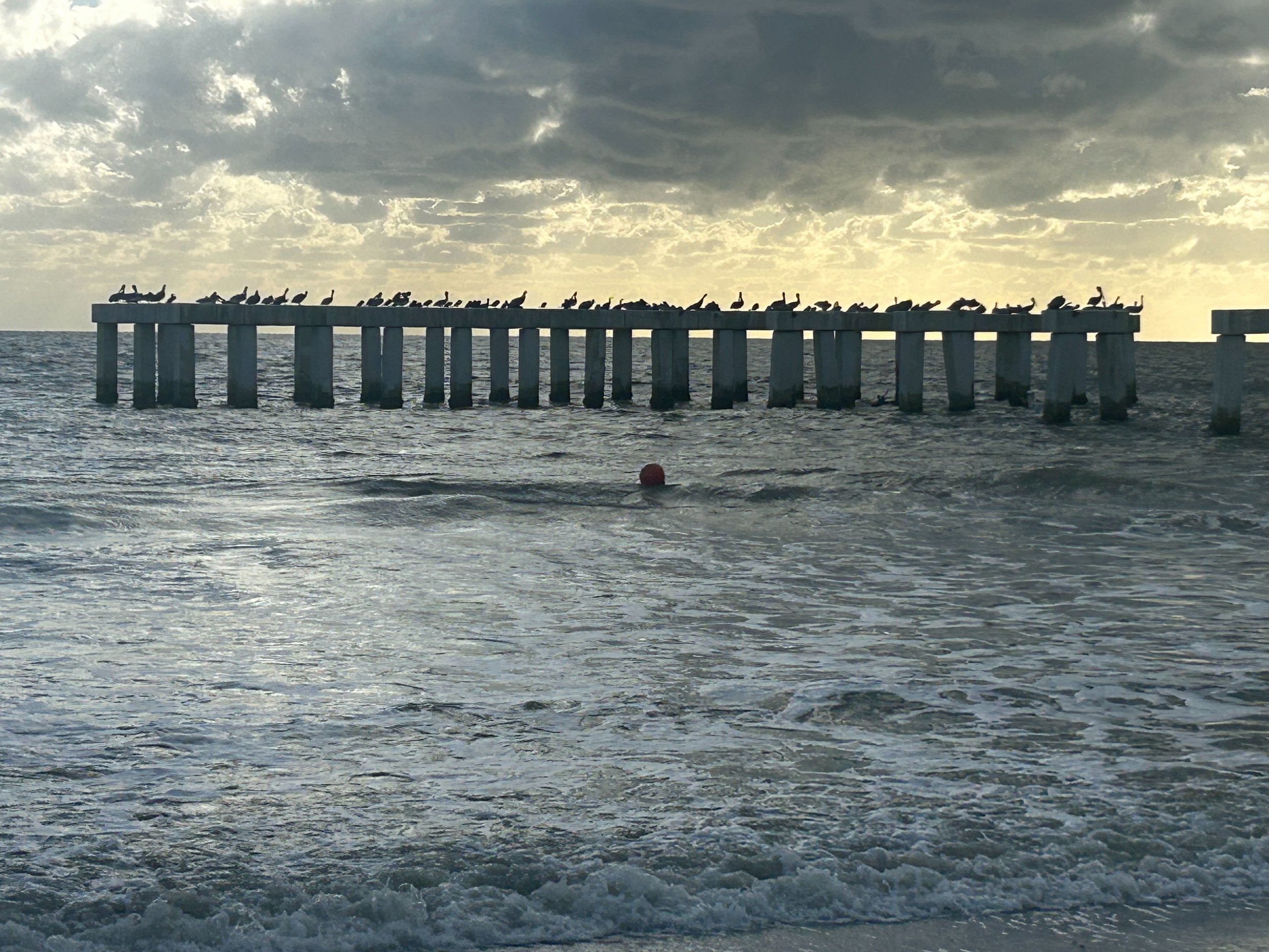 The Chris O'Leary Band