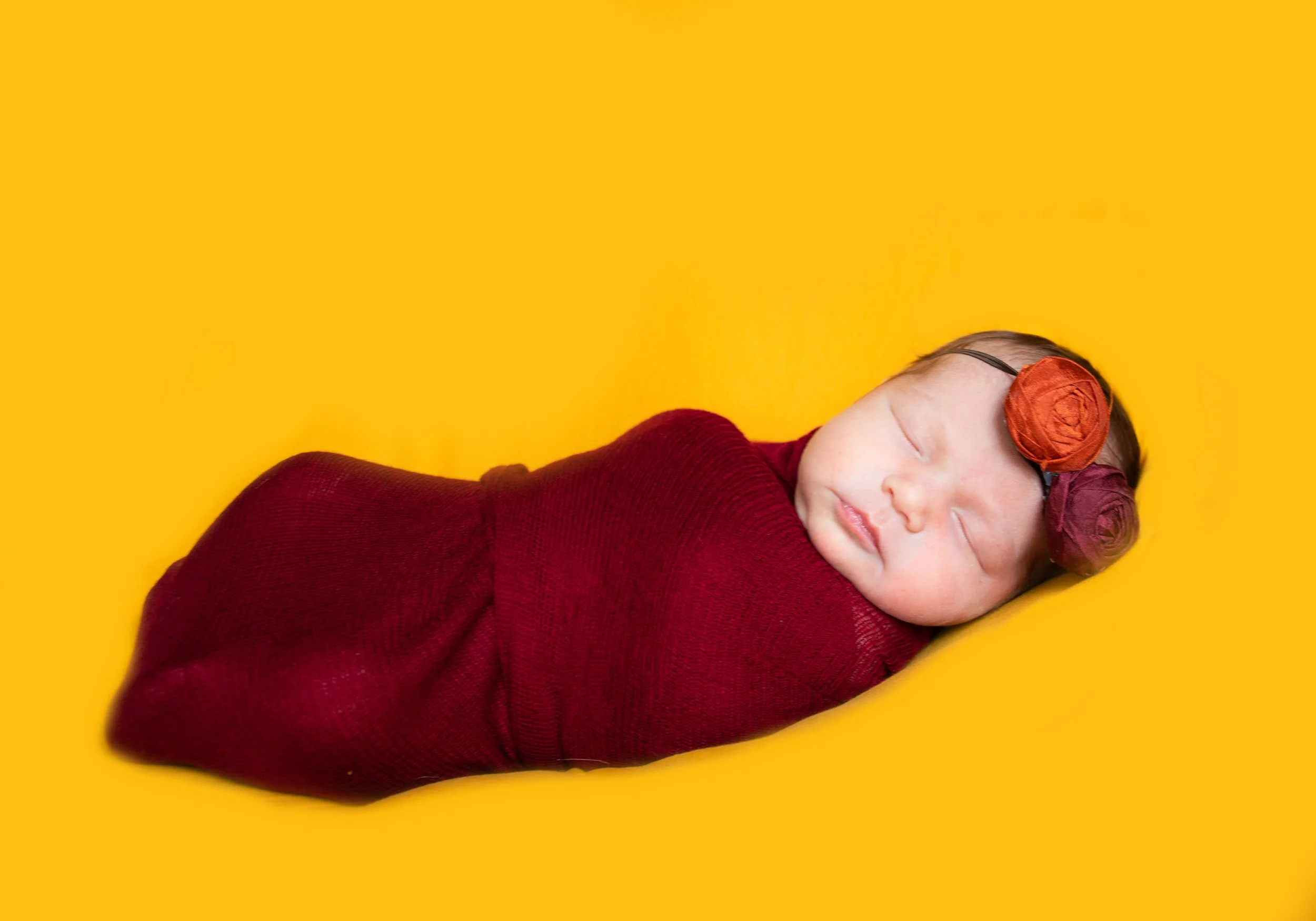20220302-0A5A6178-Edit-2.JPG