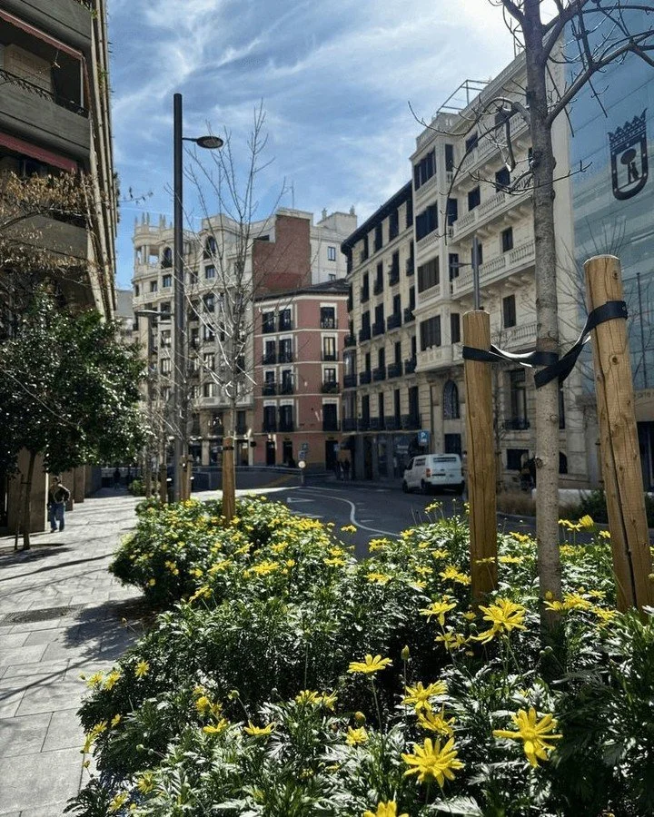 Spring has arrived in Madrid! The city is bursting with flowers from the trees to the sidewalks. Can you spot Walk and Eat HQ (our office!) in this photo?

#spring #madridalcielo #travel #walkandeatspain
