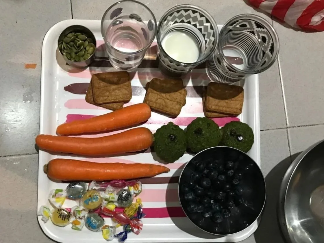 The snacks my kids leave out for the Three Kings include carrots, cookies, pumpkin seeds and a glass of milk!