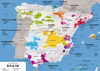 Spain Classification Wine in Madrid: Best Wine Bars and Insider Tips for Wine Lovers — Walk ...