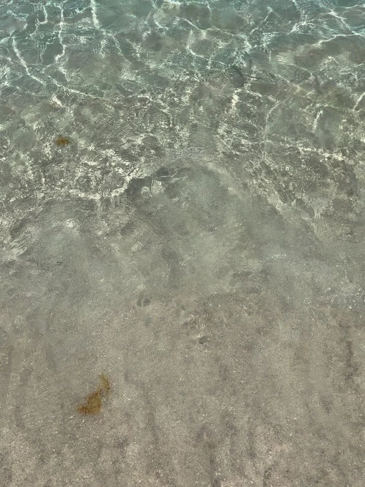 summer forever โ๏ธ๐๐ป