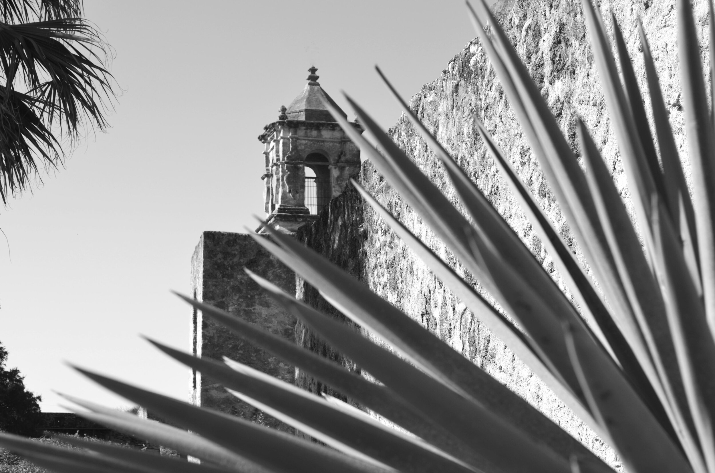 Mission San Jose.jpg