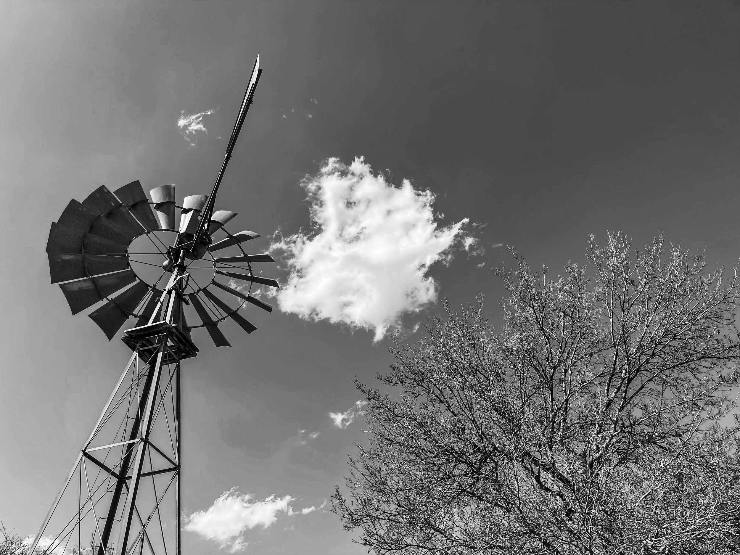 Windmill & Puffy Cloud.jpg