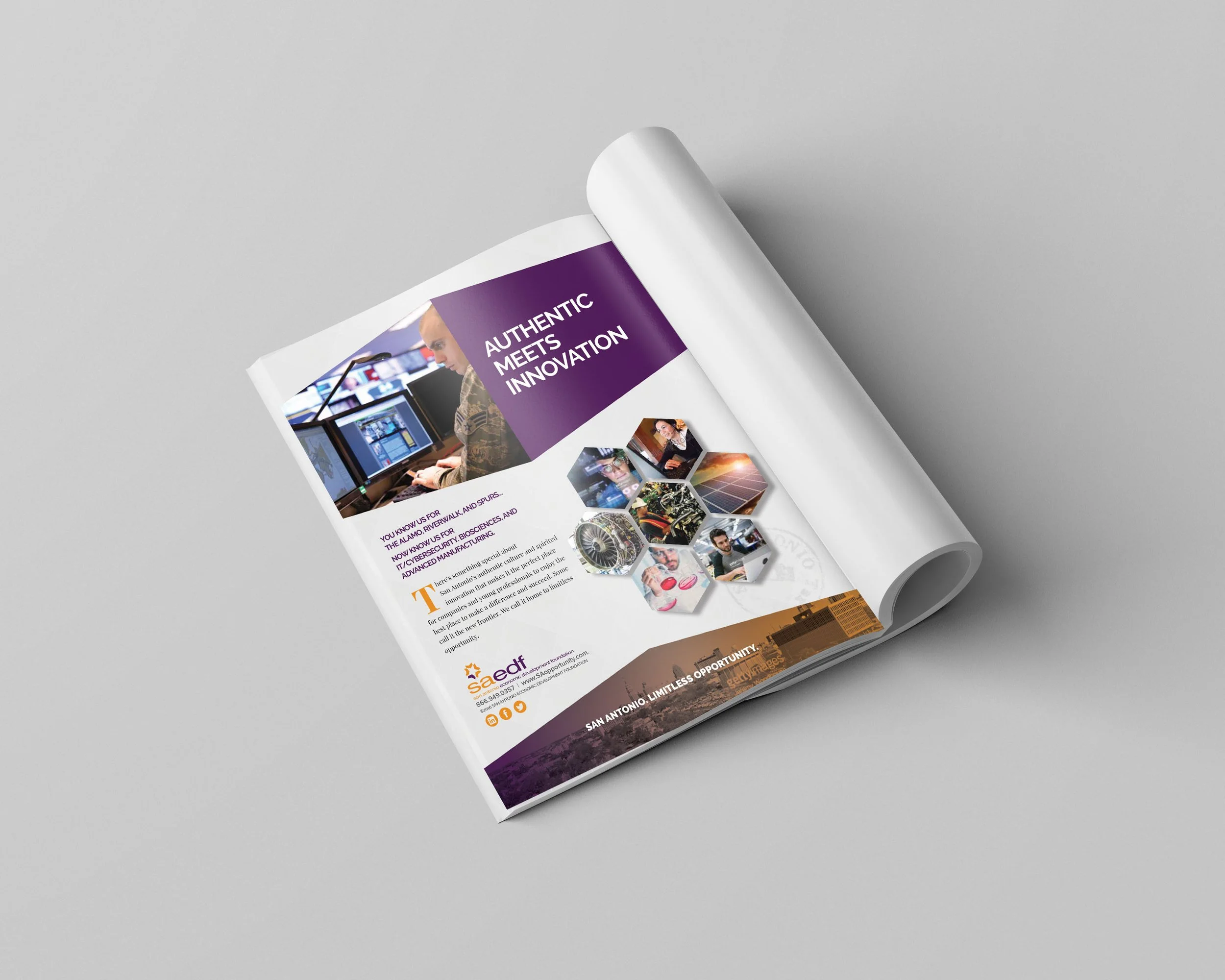 SAEDF Ad #2.jpg