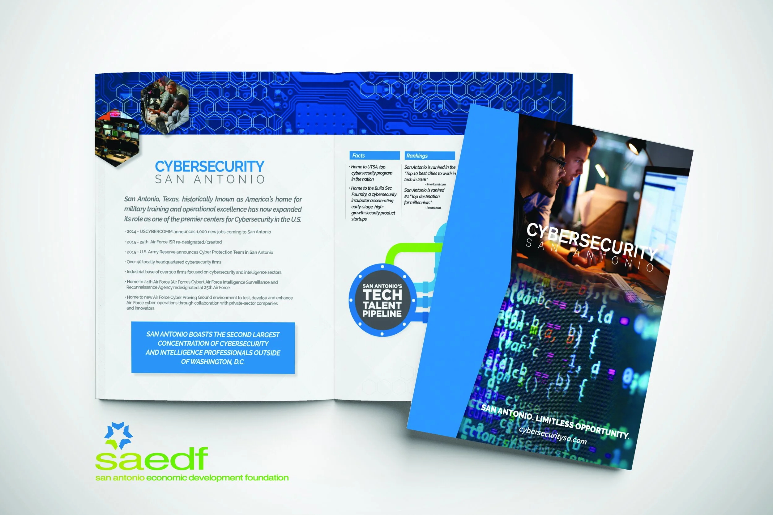 SAEDF Cyber.jpg