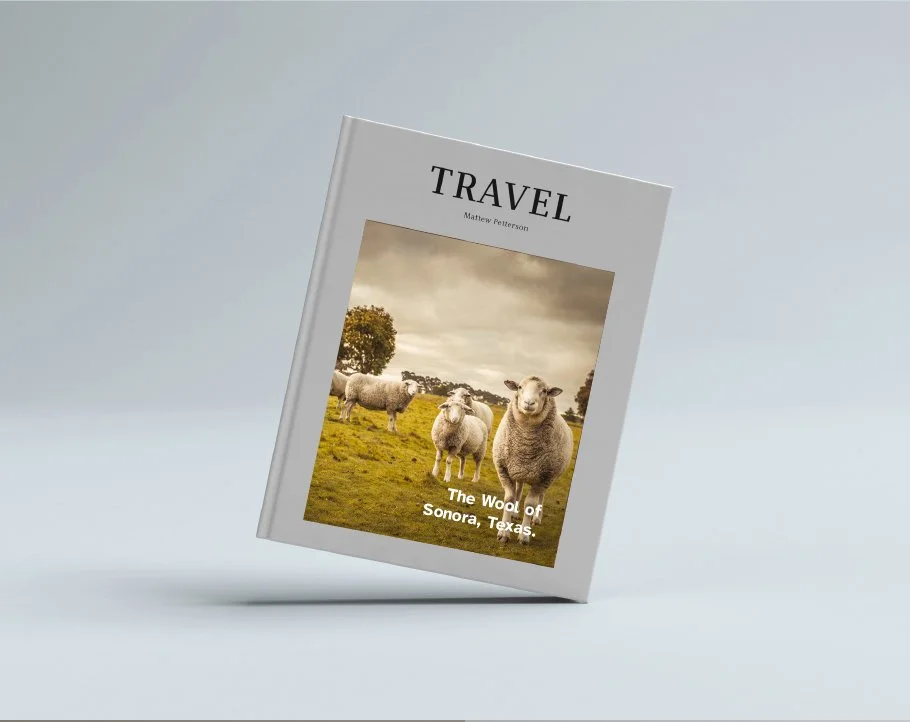 Sonora Travel Book.jpg