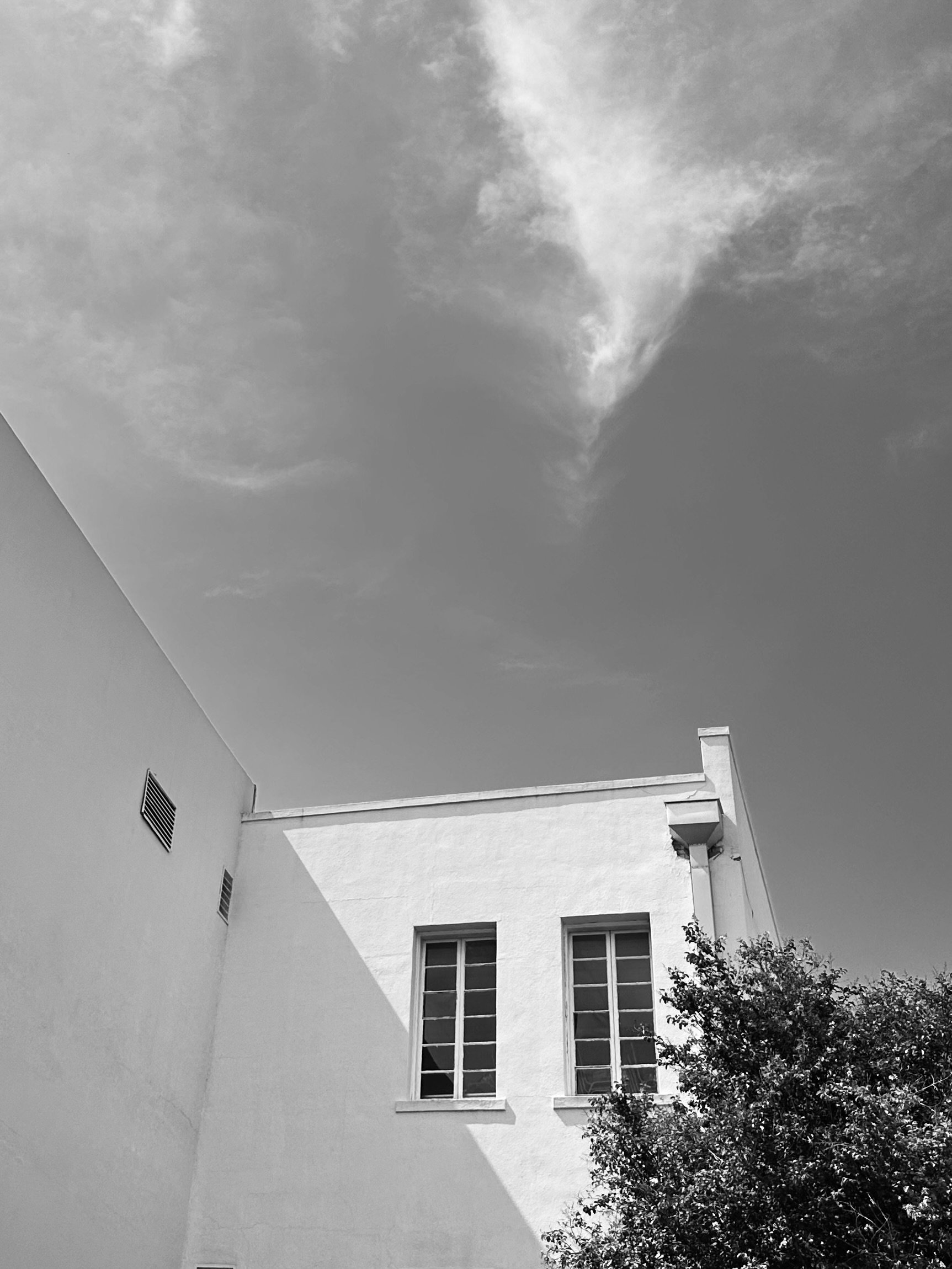 IMG-5353.jpg