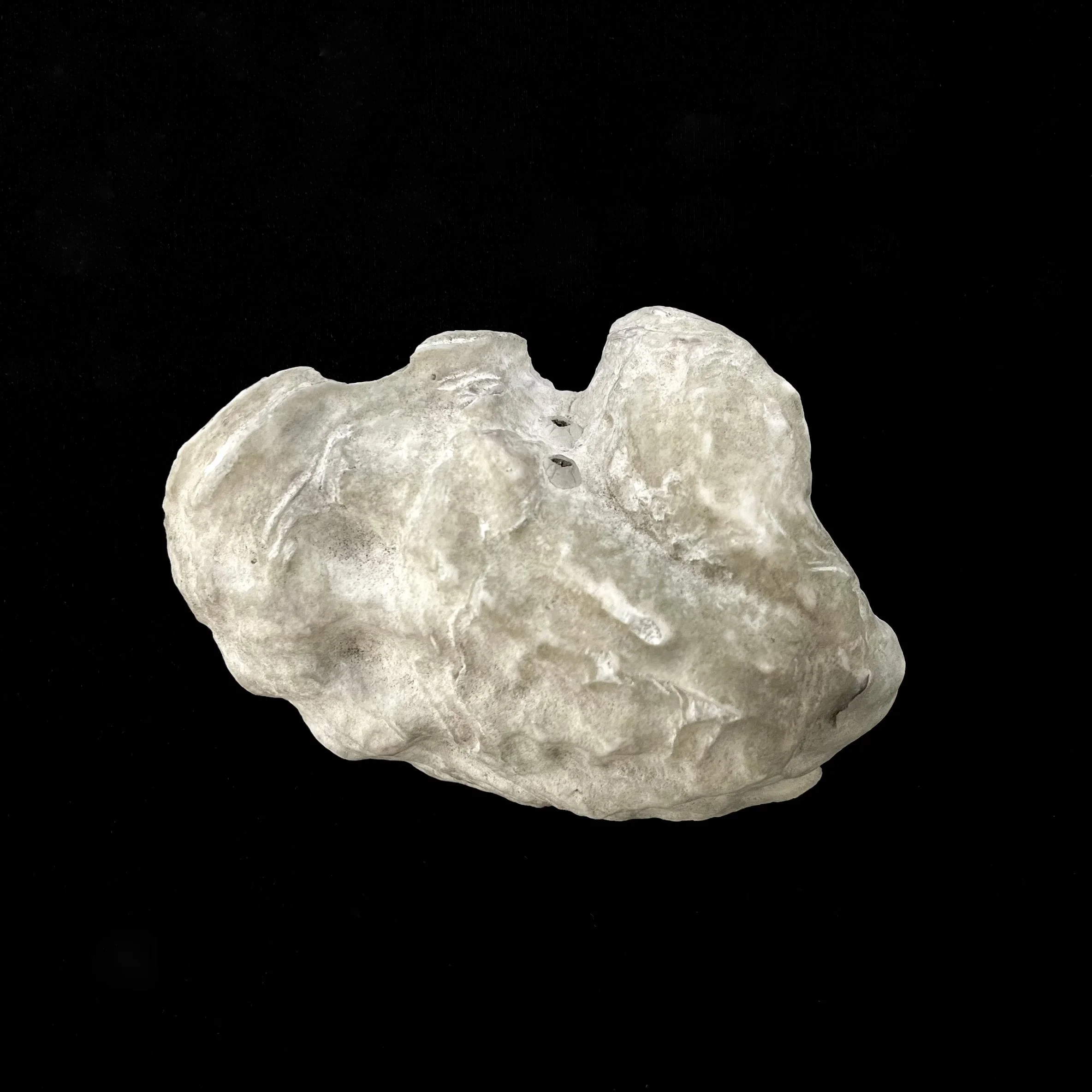 SHOP_ASTRID SKAGERSTRÖM LINDAU_OYSTER BROOCH(2).jpeg