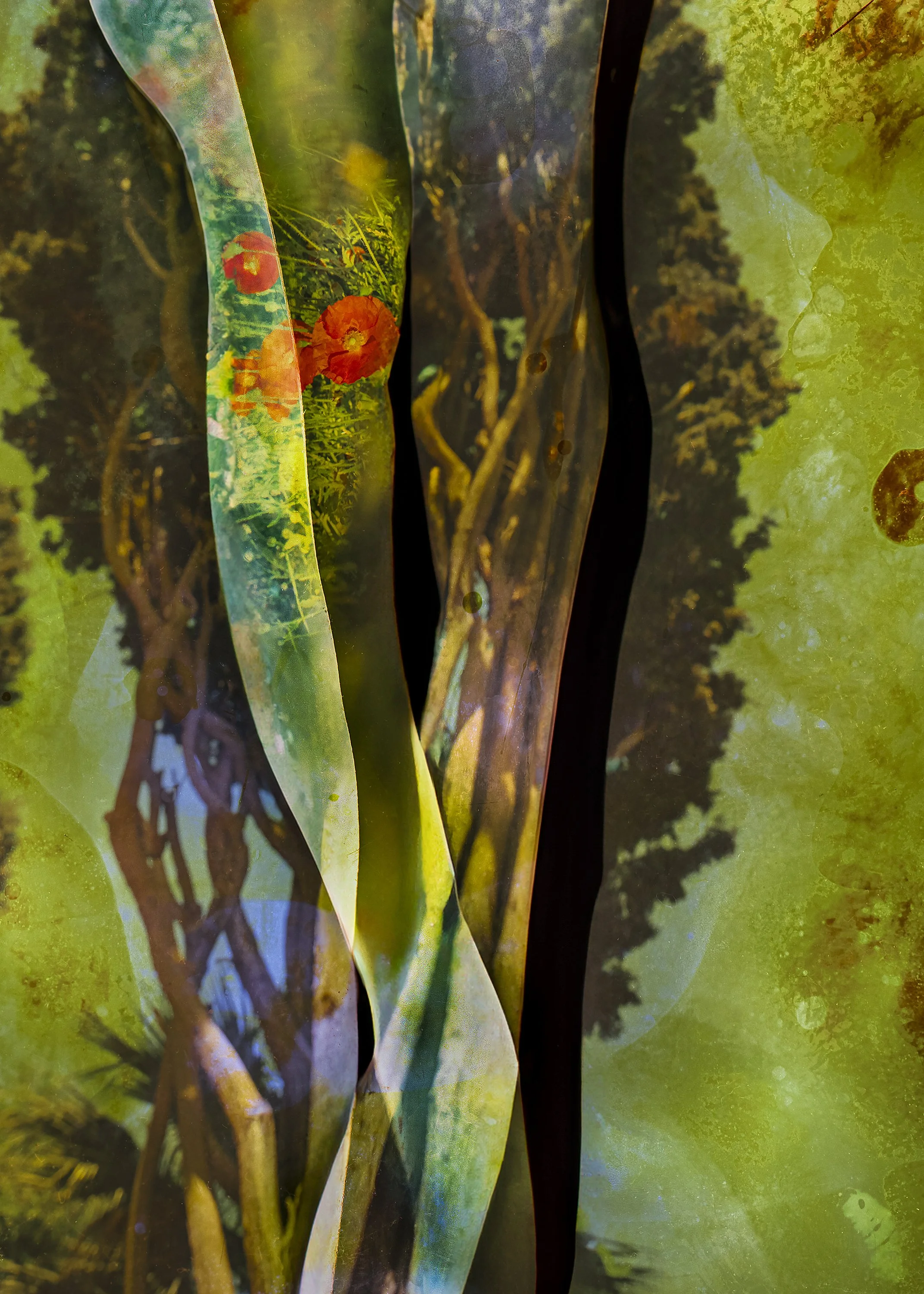 3 SHOP_ELIAS YANNAS TSIGOUNIS_UNTITLED 3_ELEGOS.jpg