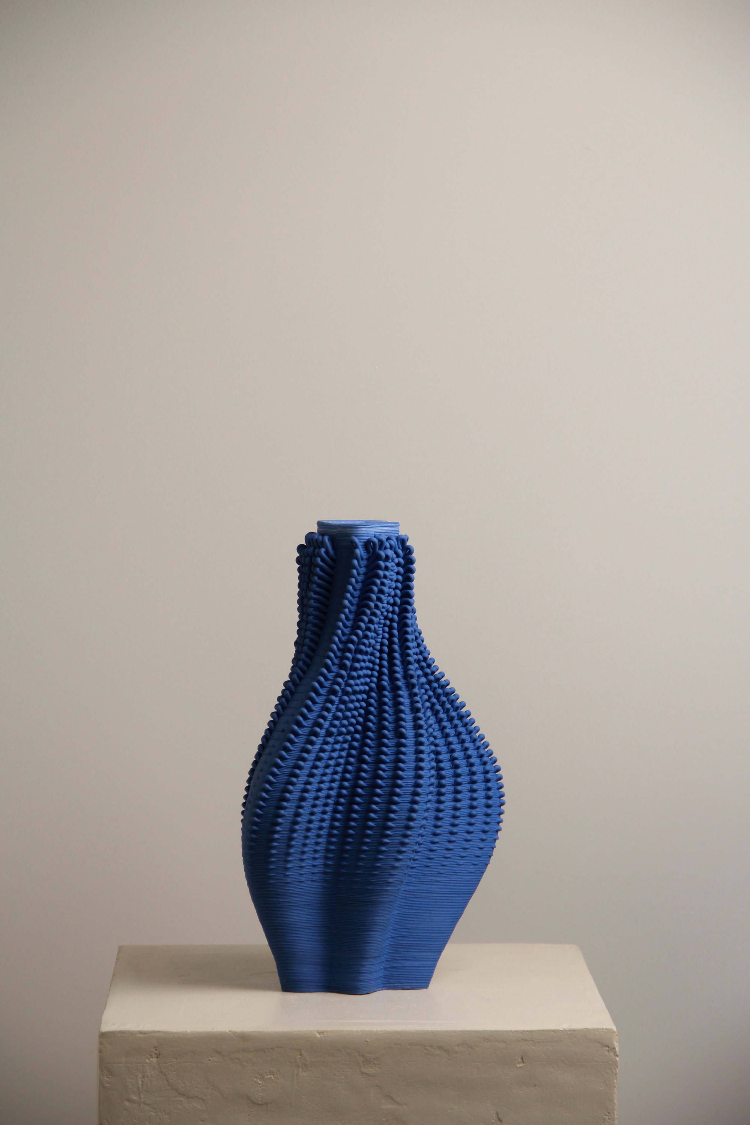 LeaStudios_BlueAnemone_2025_3DPrintedPorcelain_20x30x40cm_£380_pic2.jpg