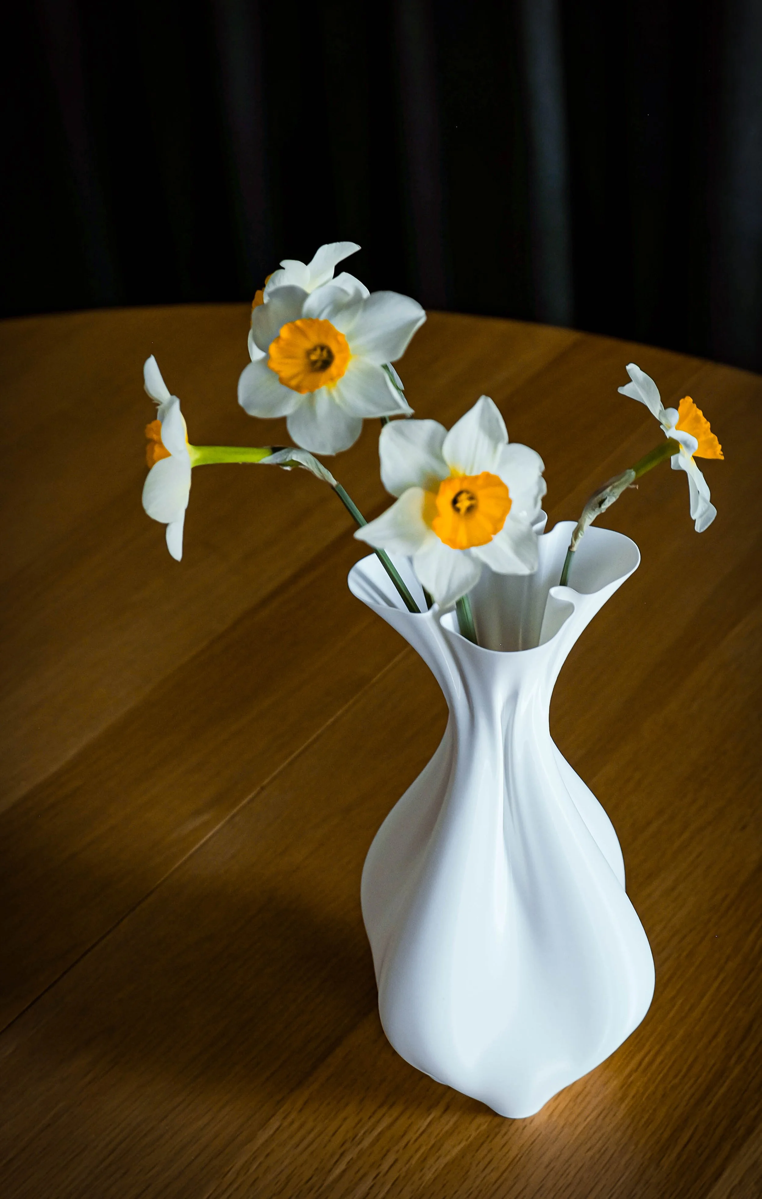 BIOMORPH_Classic_2022_PolylacticAcid_15x15x25cm_40£.jpg (1).jpg