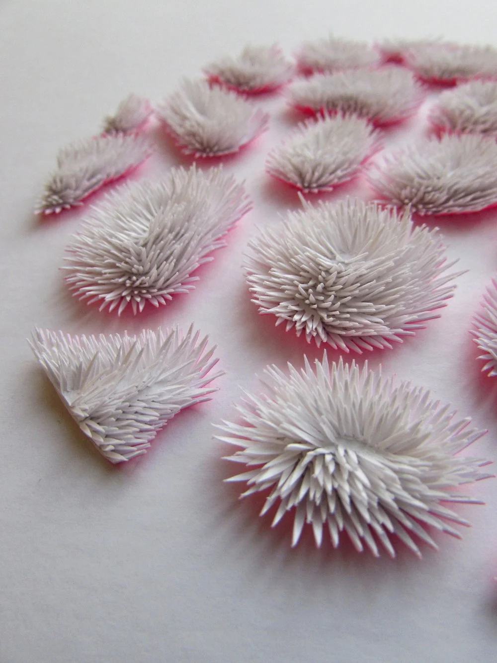 Clare Pentlow — Paper Artist