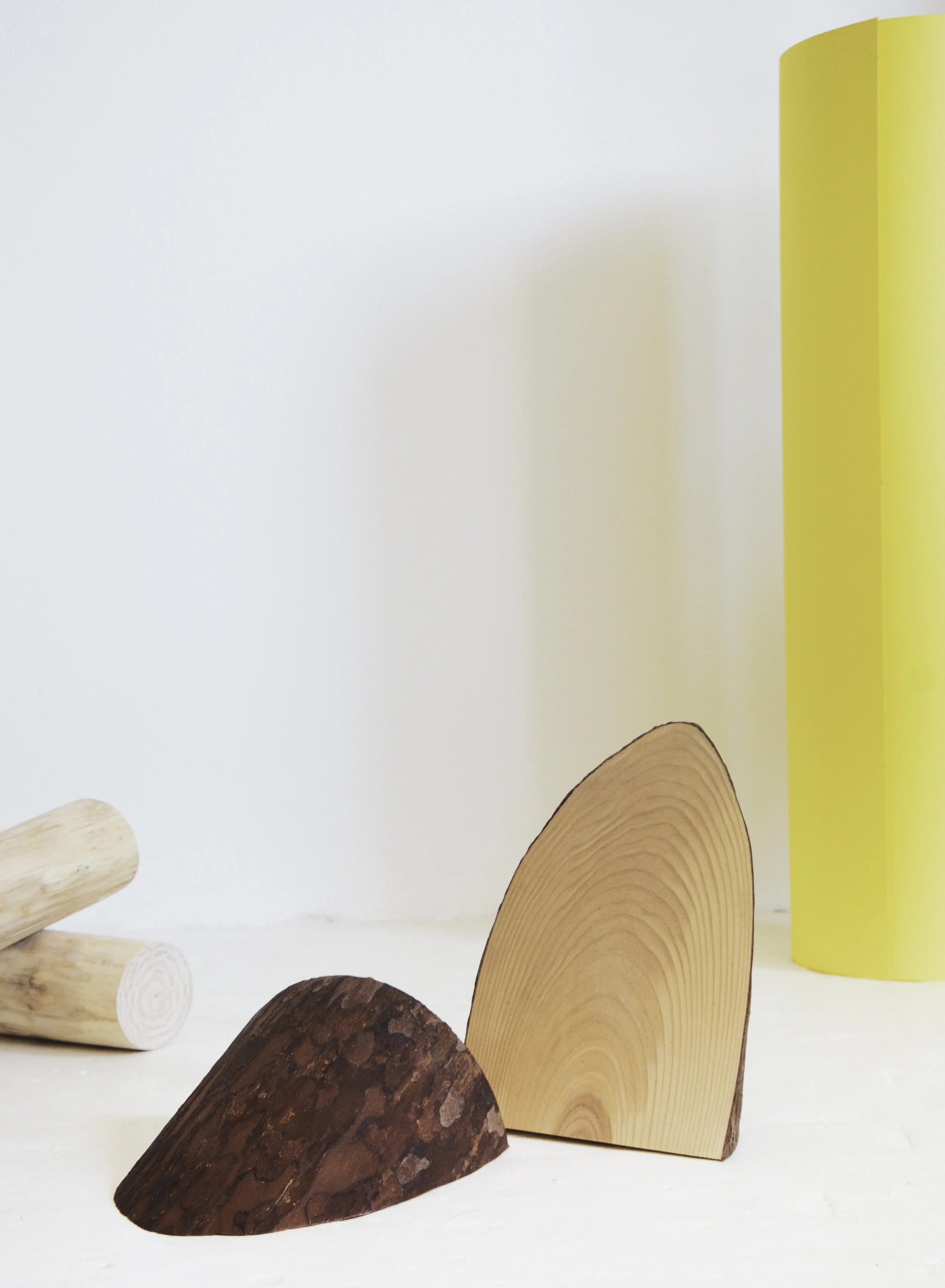 A slice of pine 2.jpg