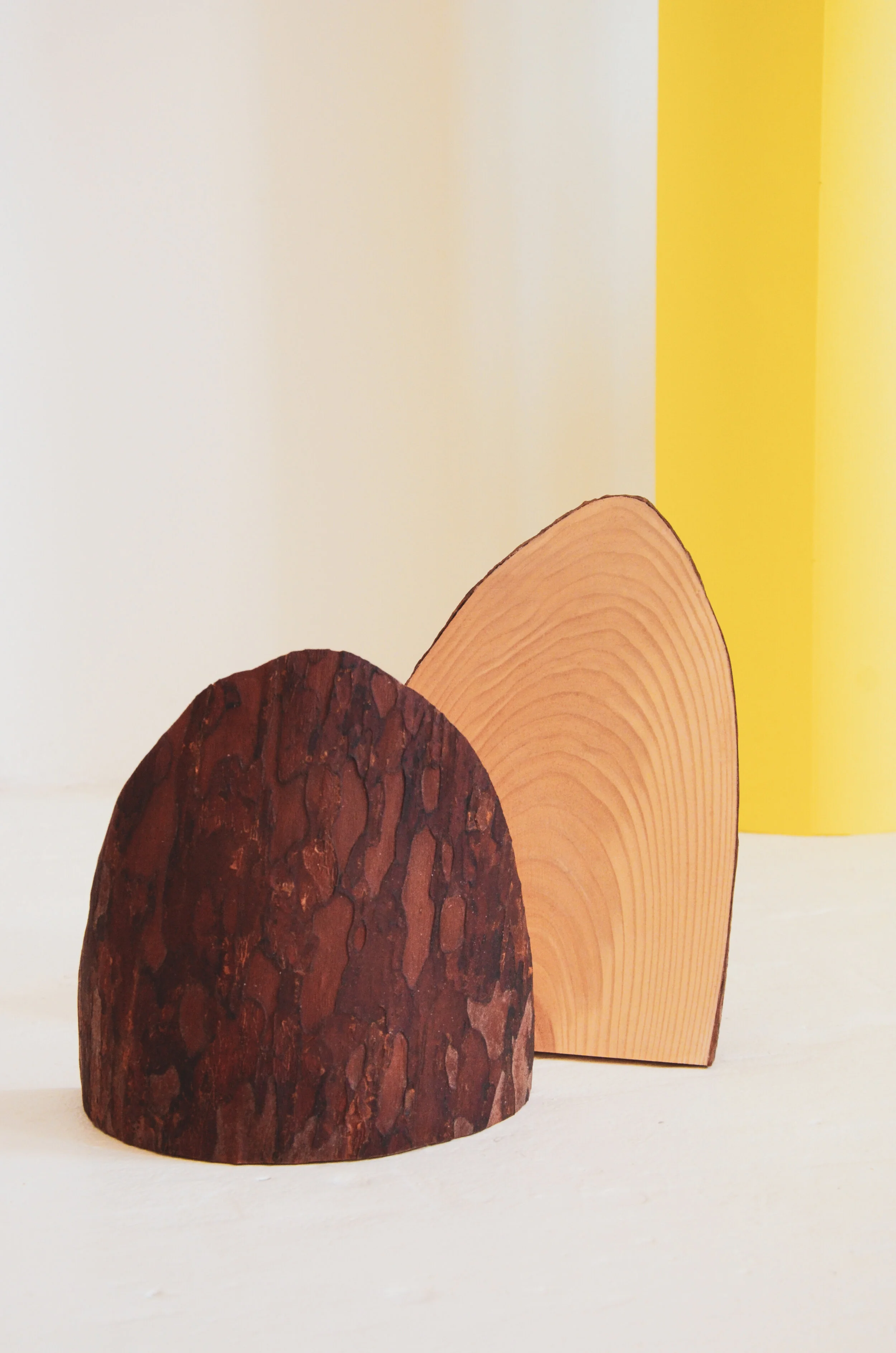 A slice of pine 1.jpg