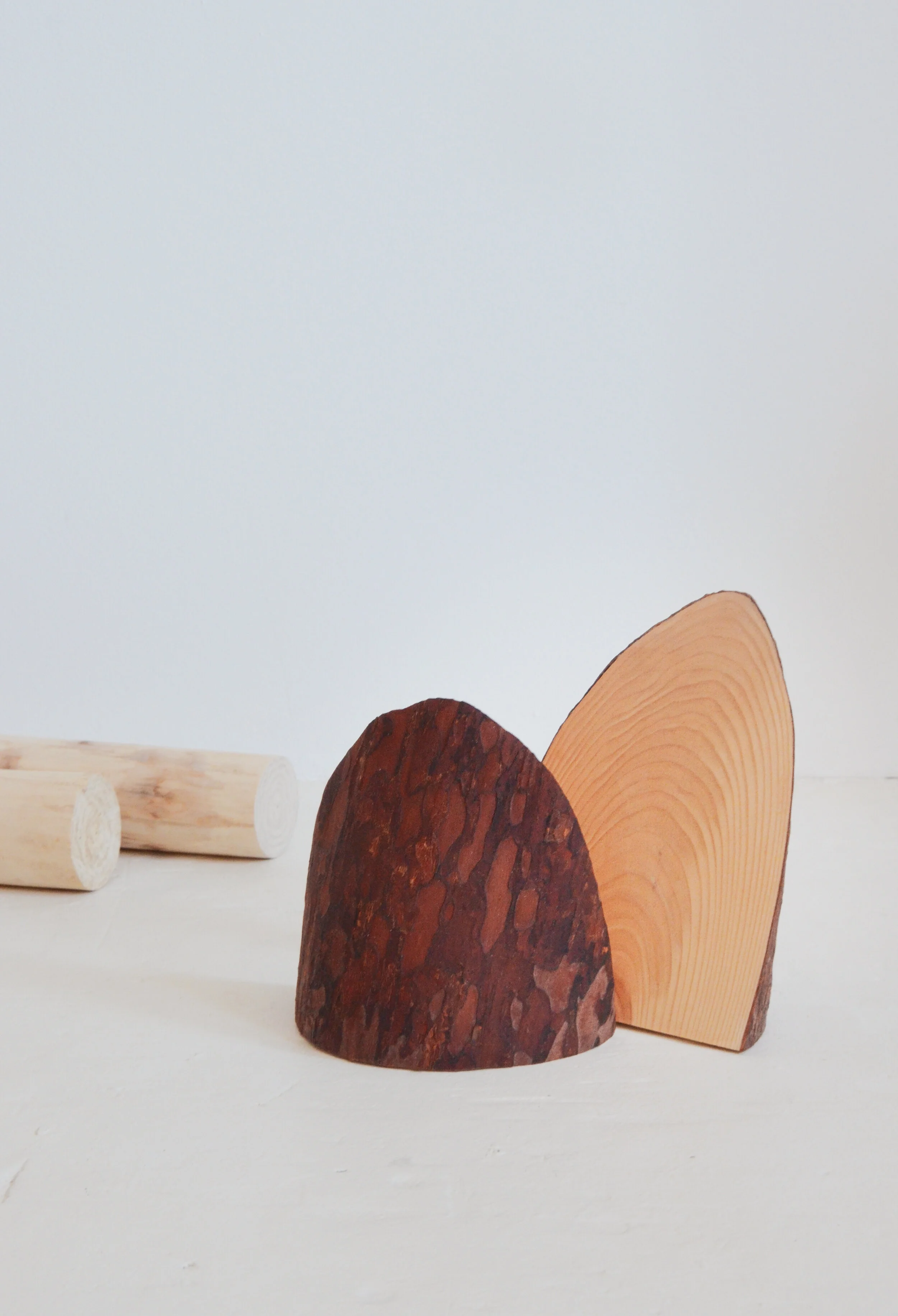 A slice of pine 3.jpg