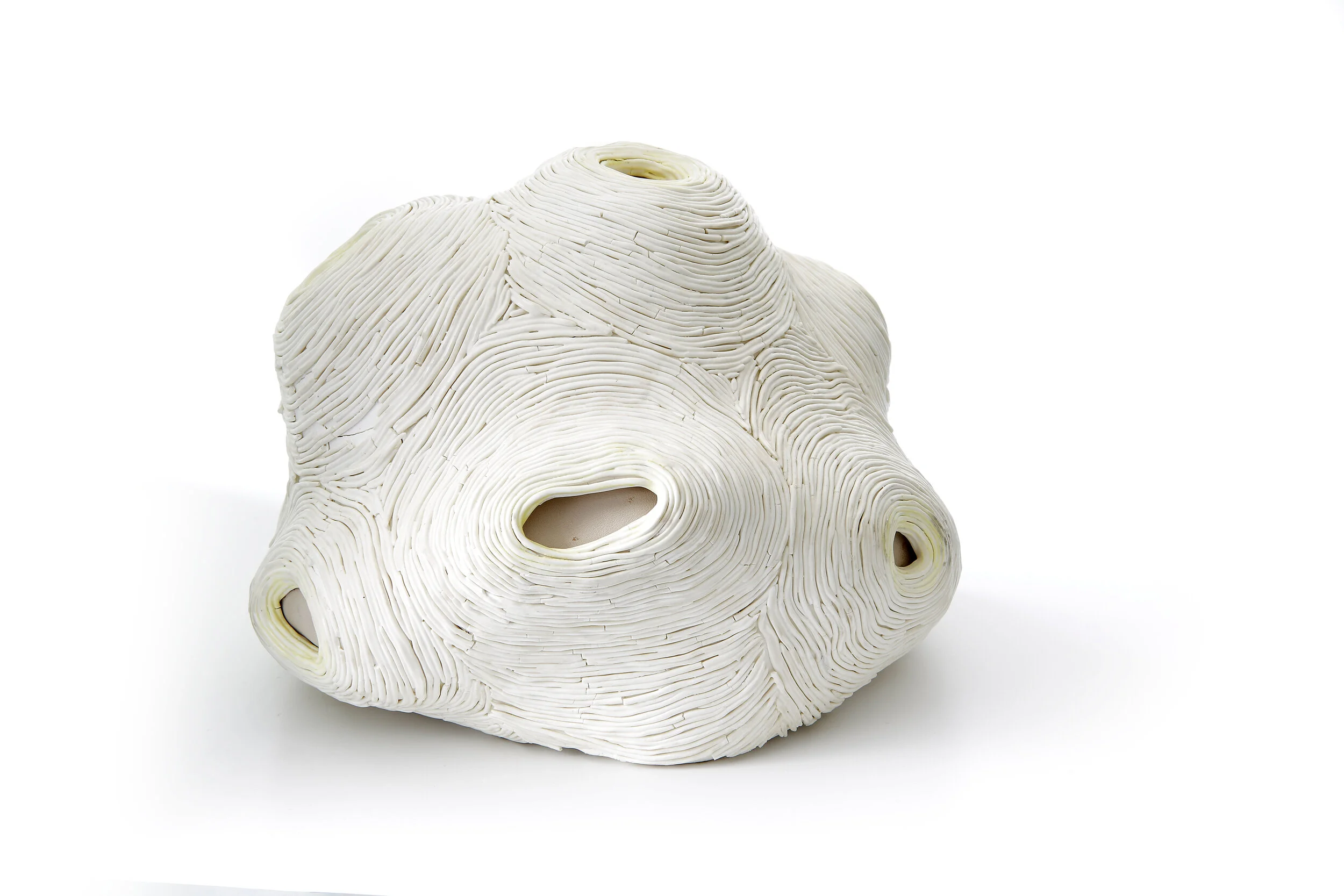 Spring has Brought Pollen#3 - 2019 - 37cm X 28cm circa - altered wheel thrown form , hand modelled - porcelain and leather- 5kg - 850 euro.jpg