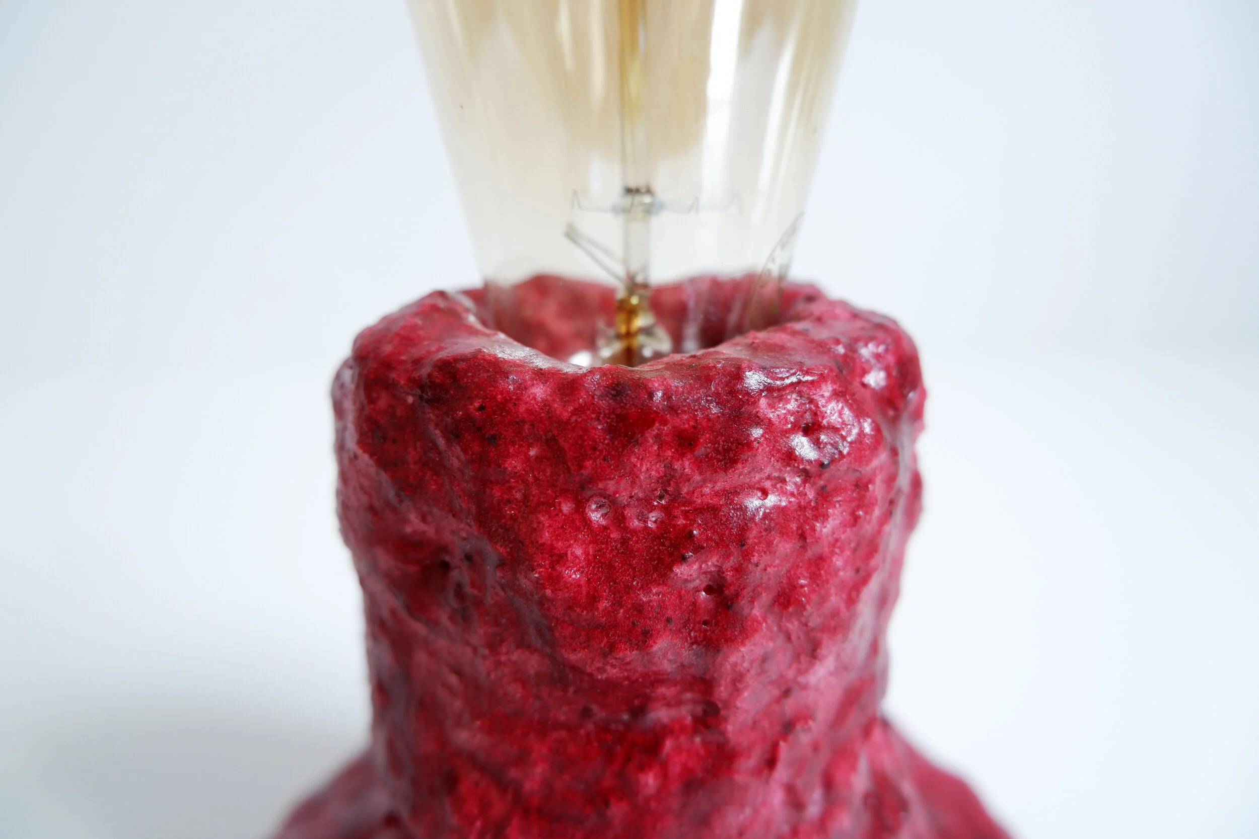 02_Online Shop_Lighting Object_Hibiscus_Austeja Platukyte.jpg