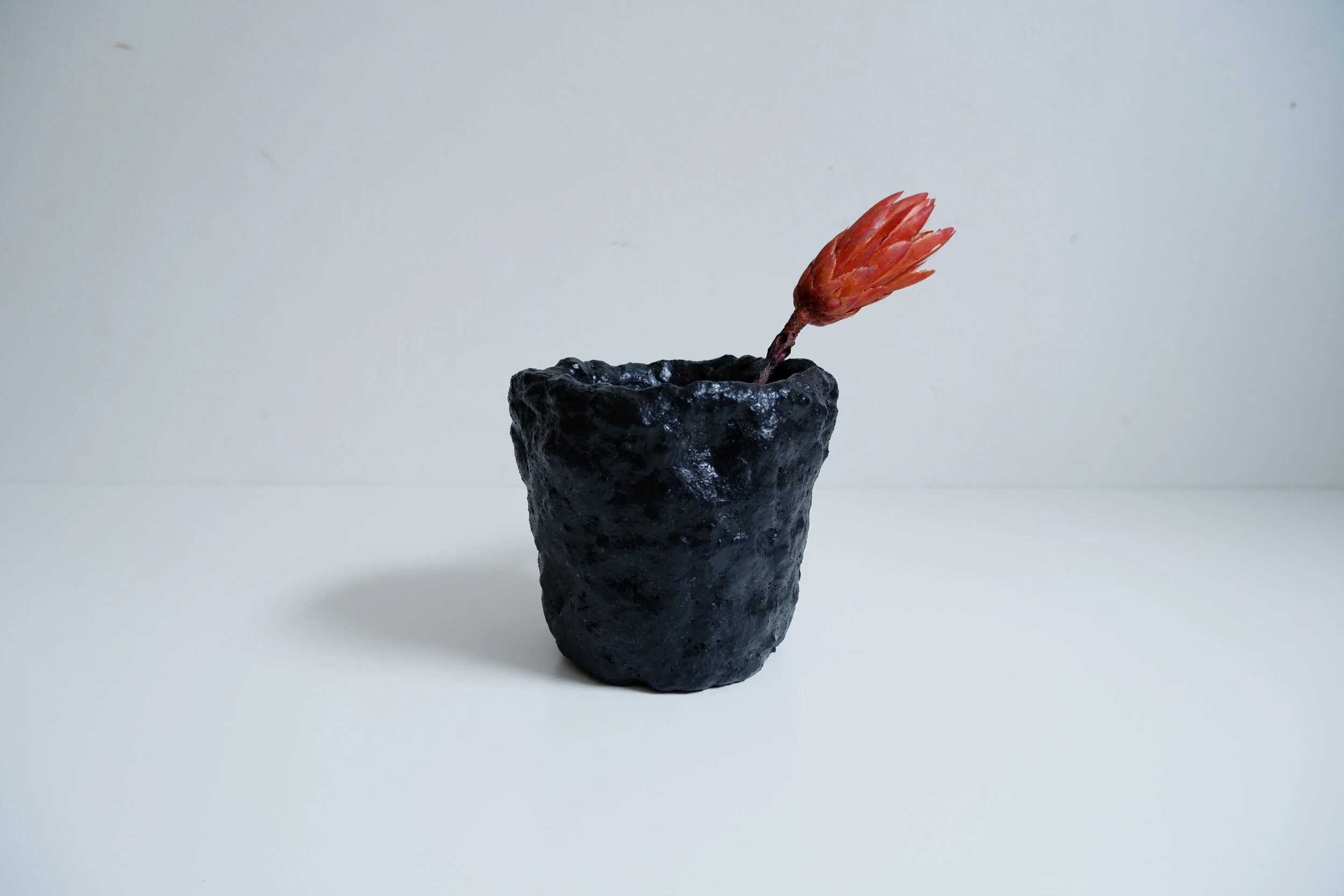02_Online Shop_Flower Pot_Charcoal_Austeja Platukyte.jpg