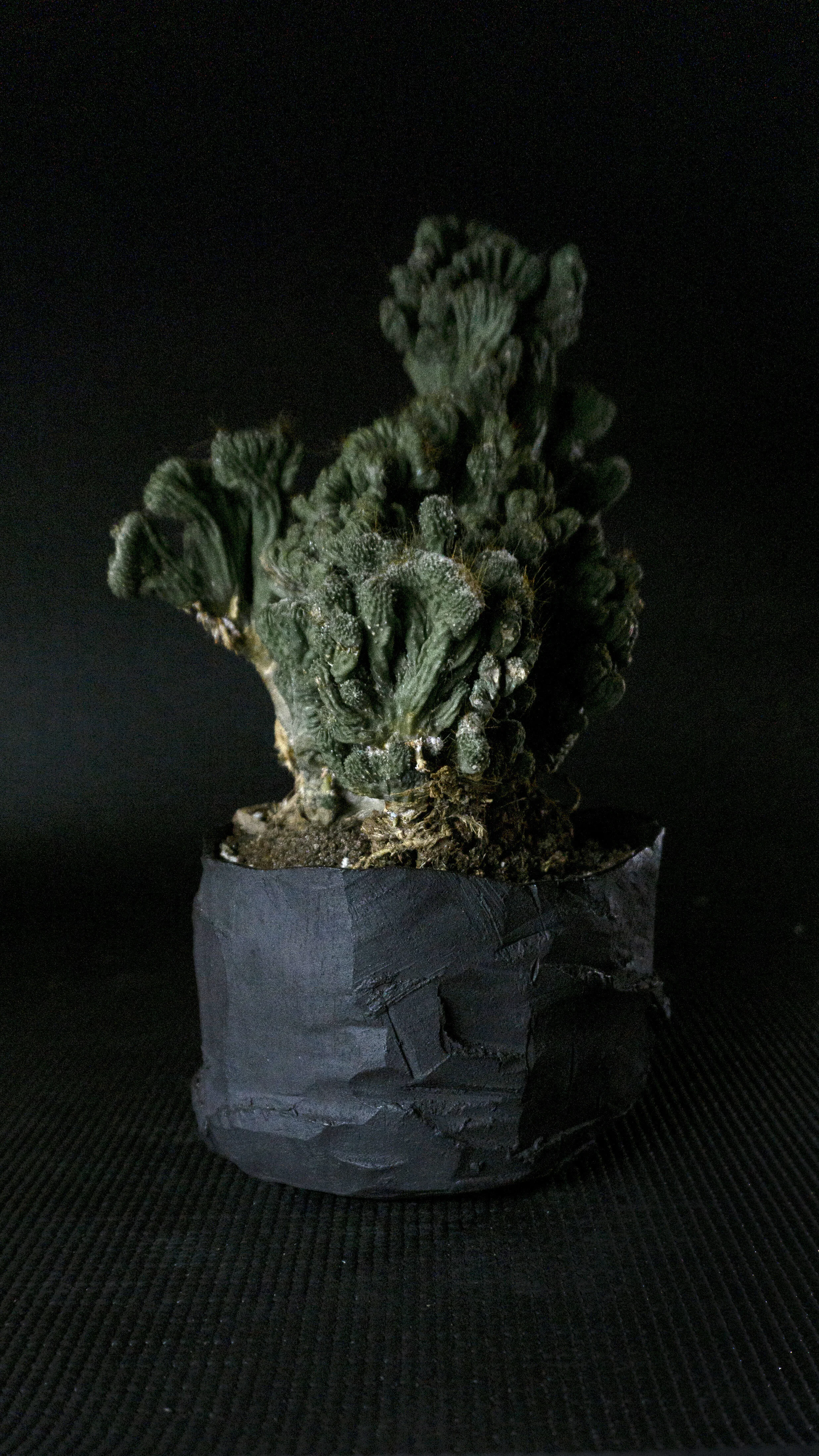 Kurinuki_pot_01.jpg