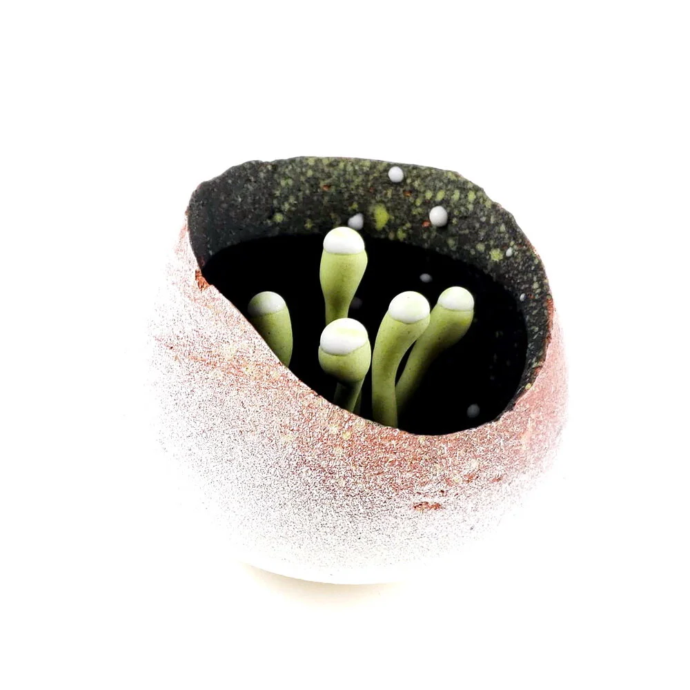 Spring Shoots