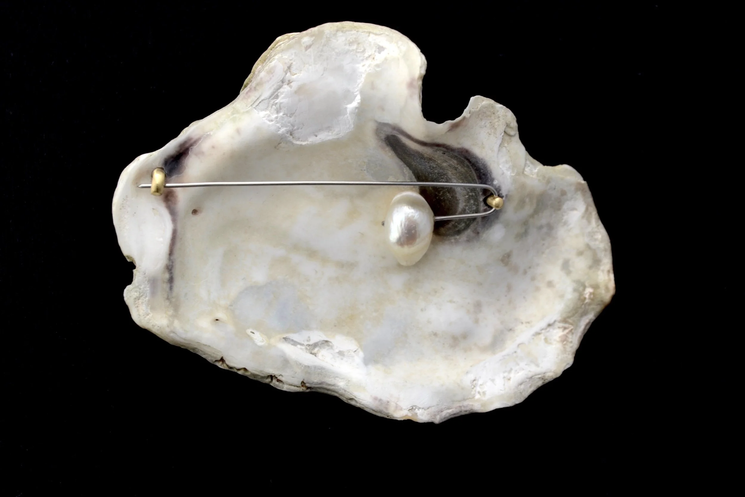 FAIR_ASTRID SKAGERSTRÖM LINDAU_OYSTER_(1).jpg