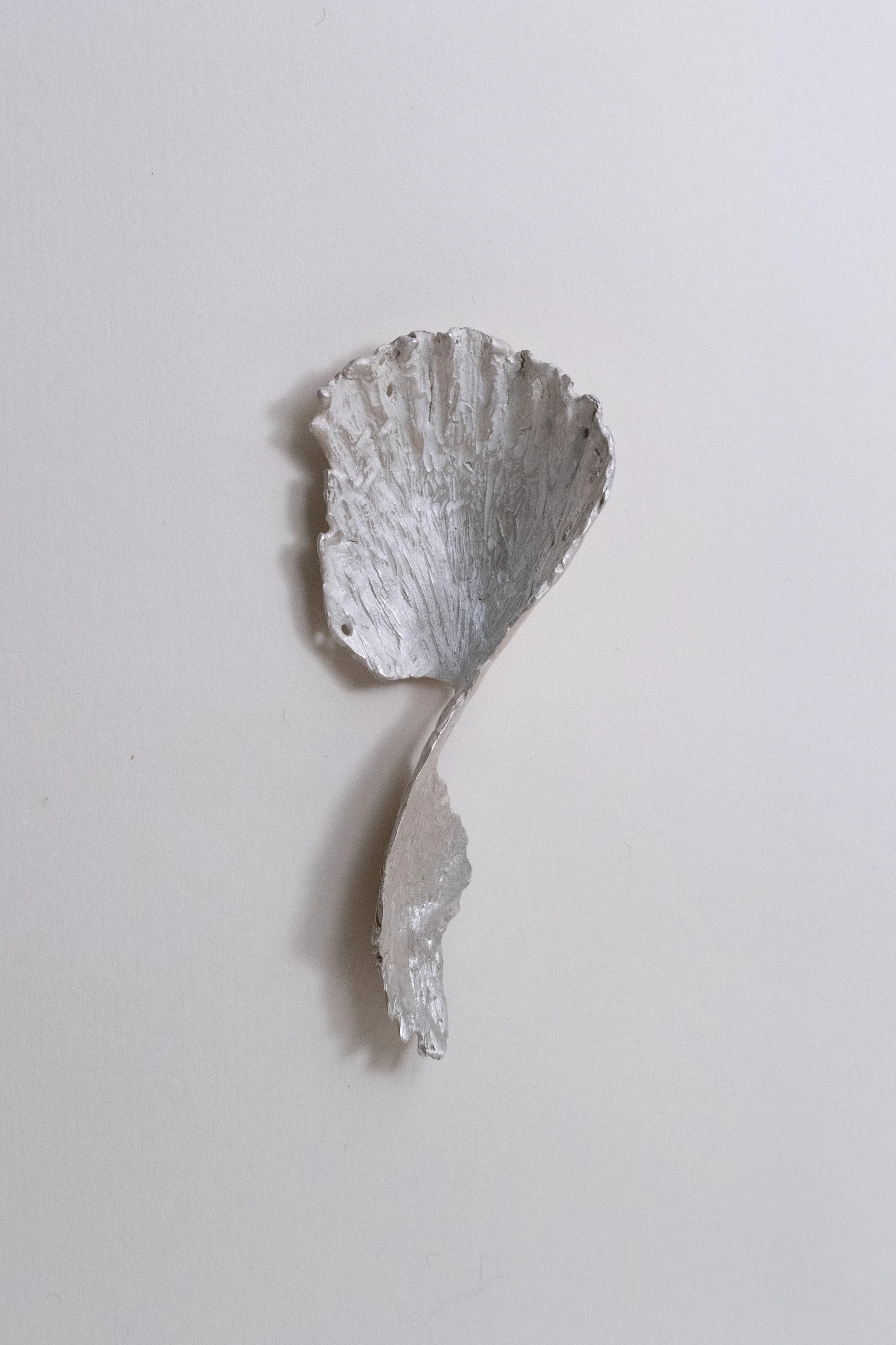 FAIR_Cindy Liu_Shell caddy spoon.jpg