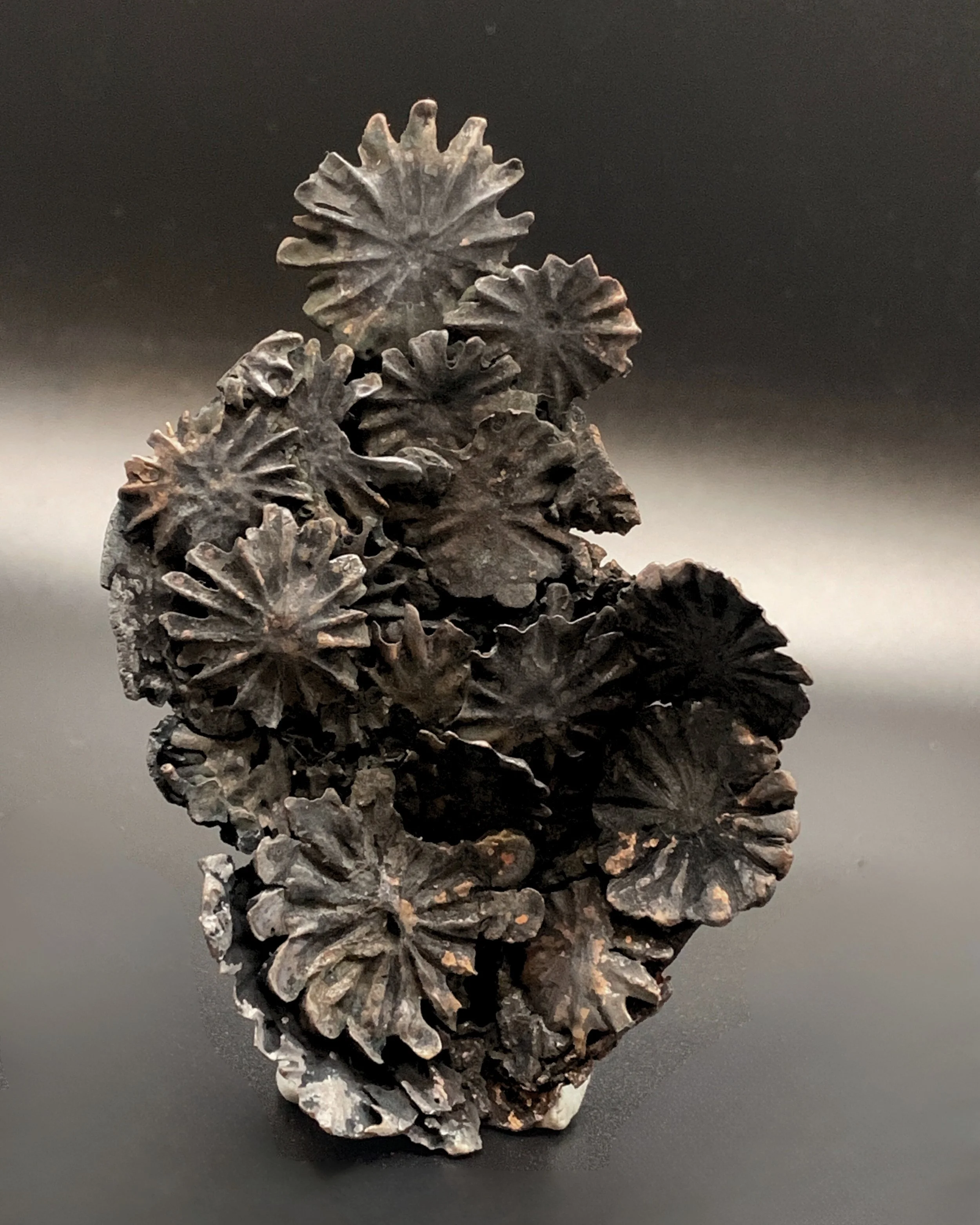 ELLAGORASIA_TRACEOFAMOMENTBROOCH.jpg