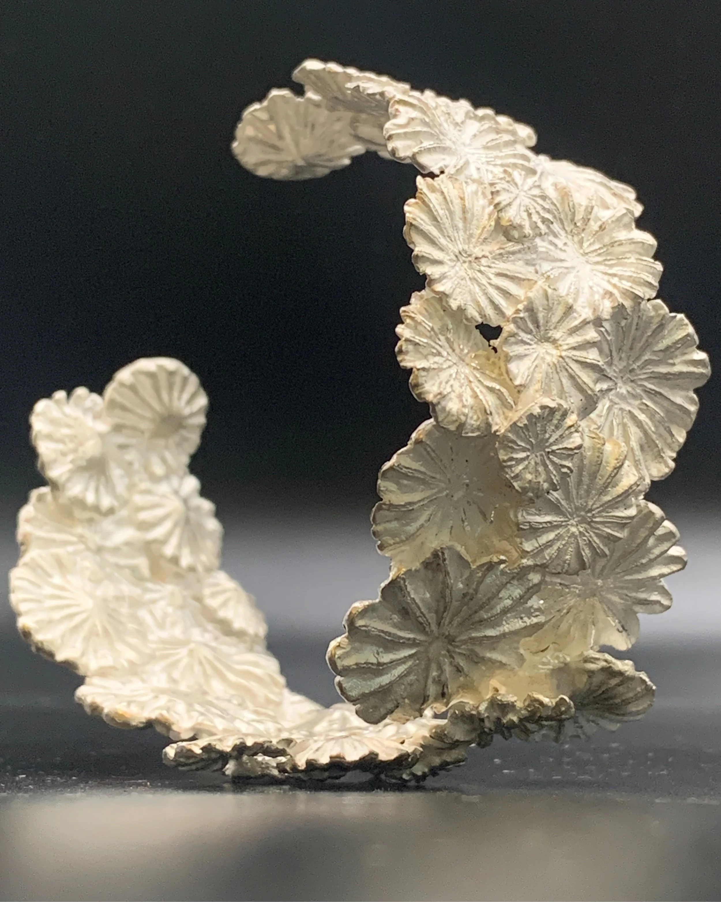 FAIR_ELLAGORASIA_VESTIGEOFBLOOM(Cuff).jpg