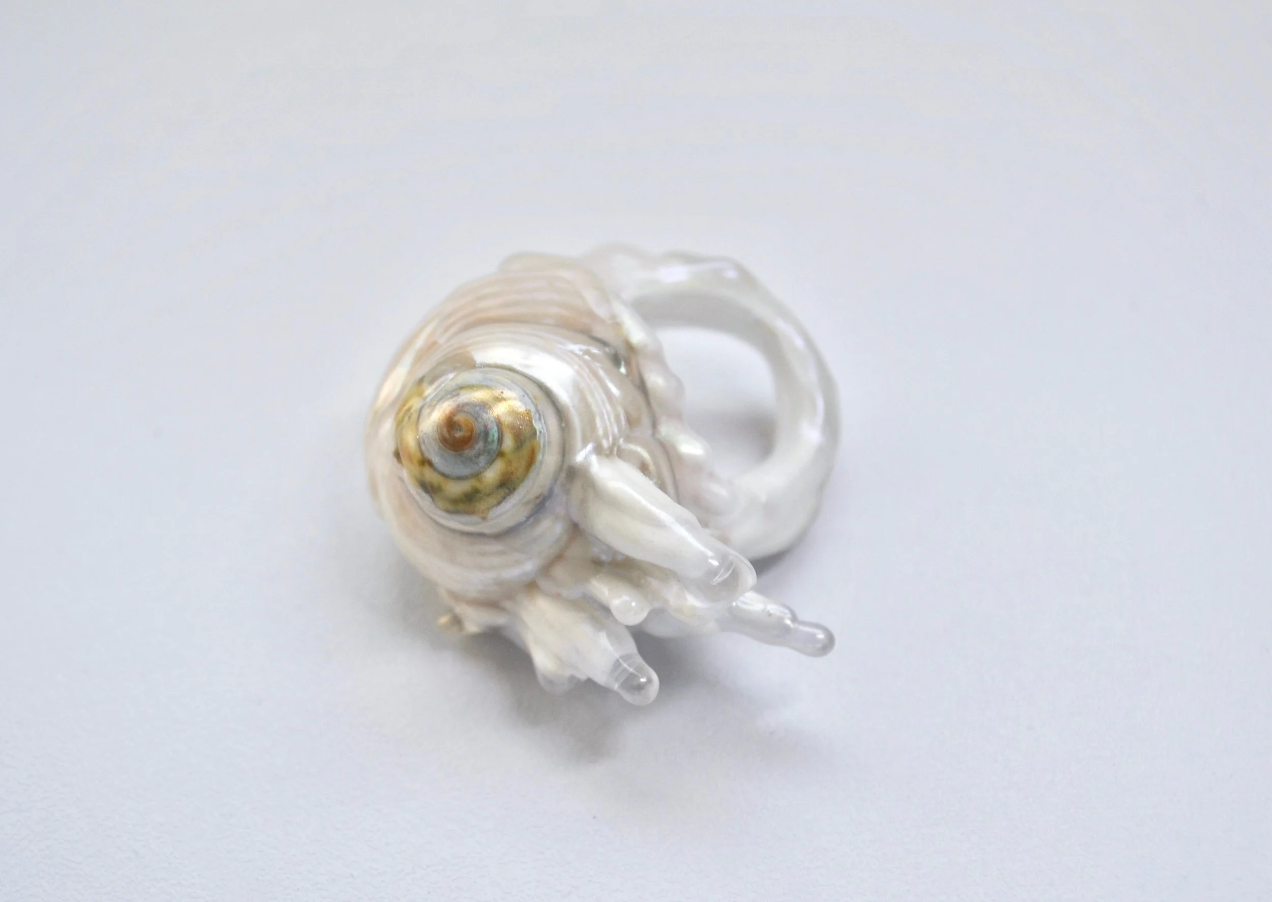 FAIR_INNA MONASTYRNA_MOON SNAIL RING.jpeg