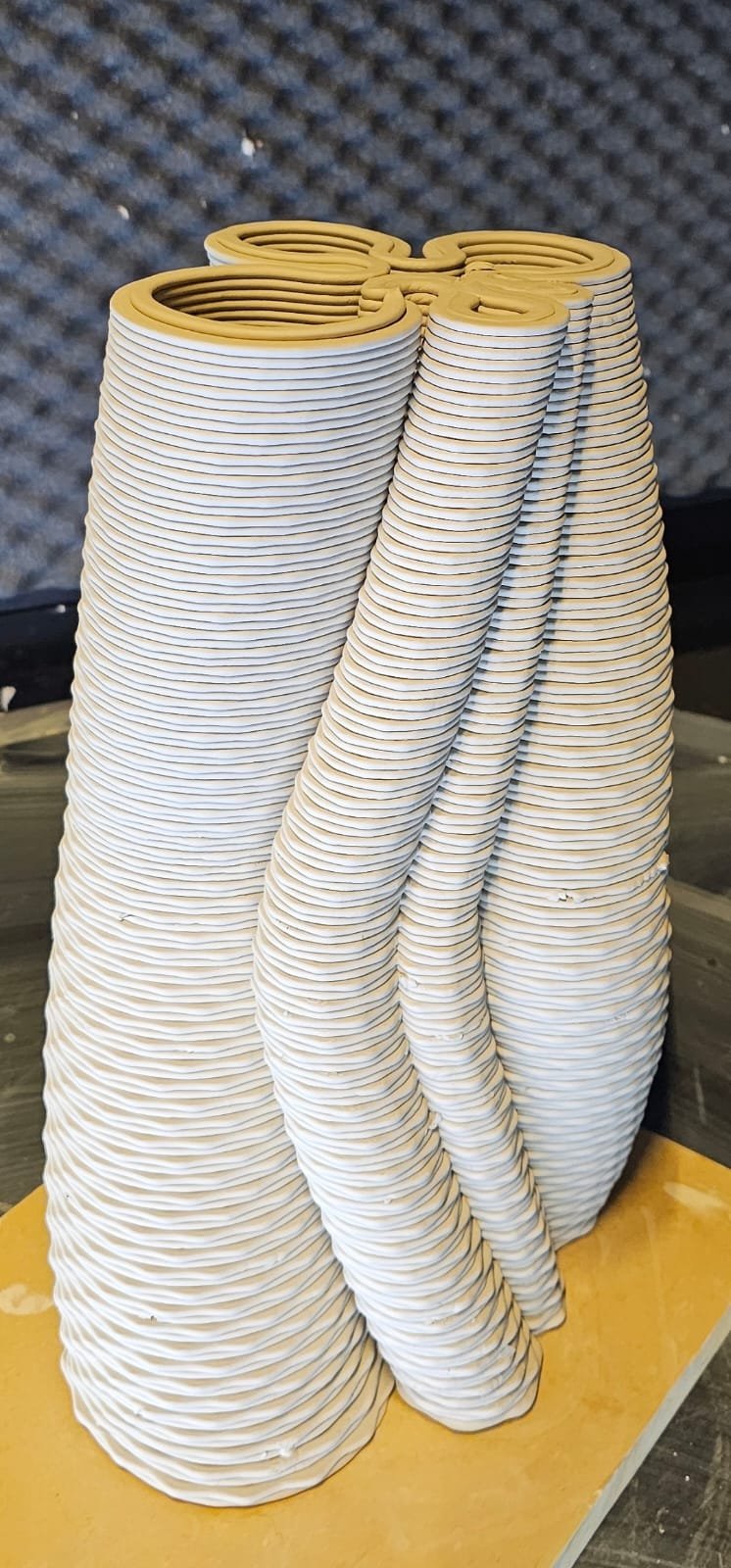 WhatsApp Image 2025-07-12 at 7.03.55 PM.jpeg